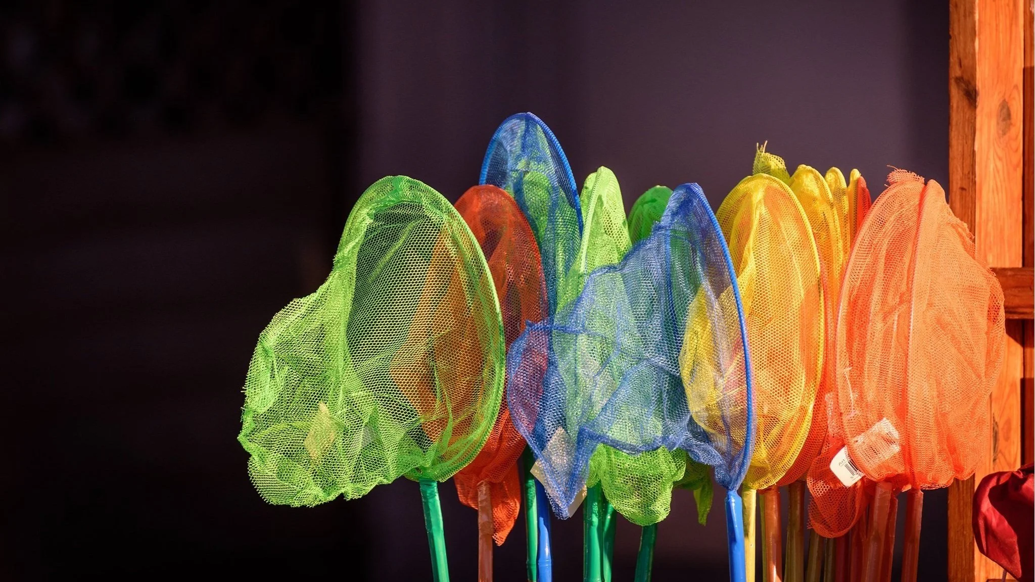 Butterfly nexts in rainbow colors against a black background.