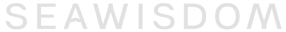 Image with the words 'SEAWISDOM' in gray text on a black background.