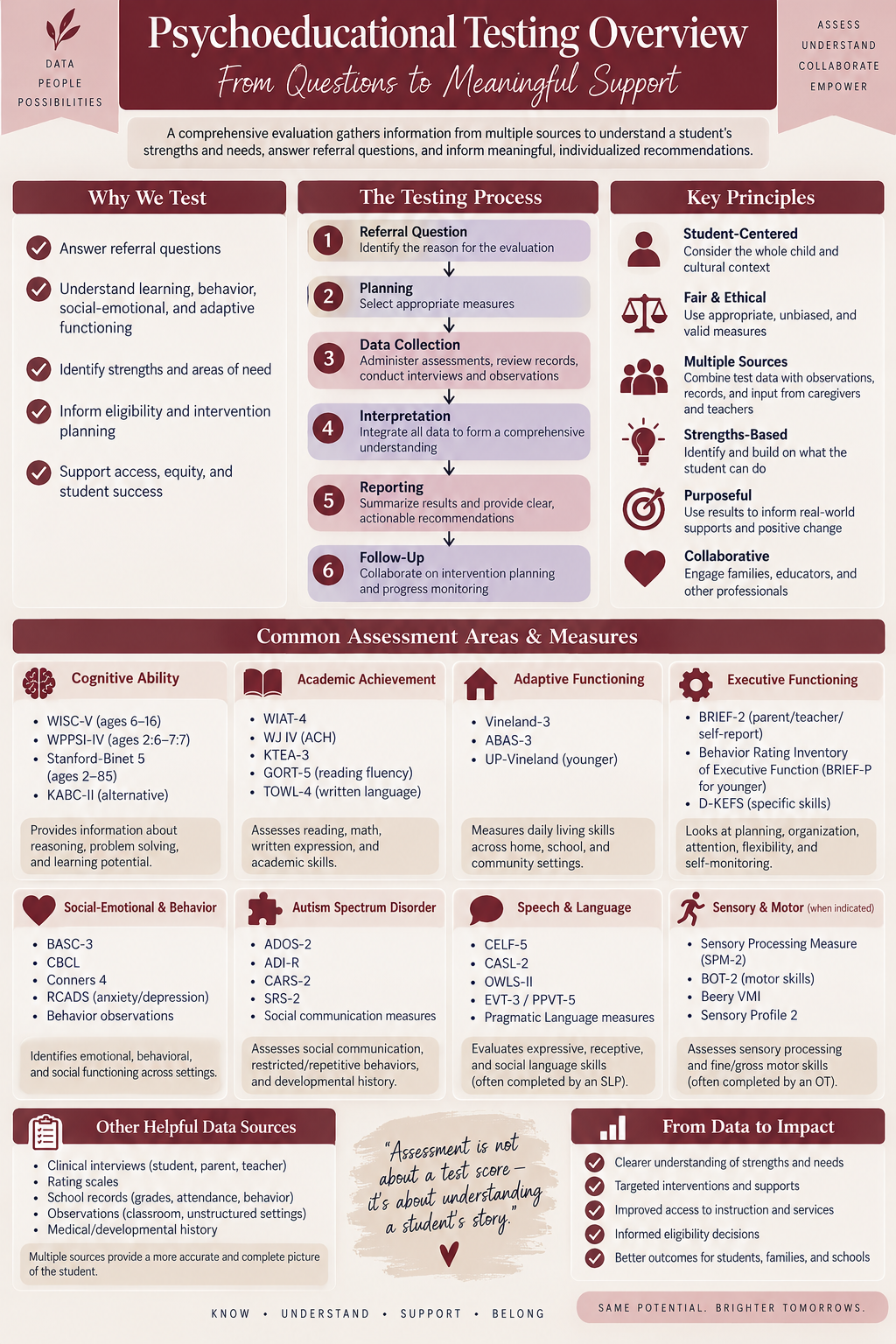 Psychoeducational Testing Overview Infographic