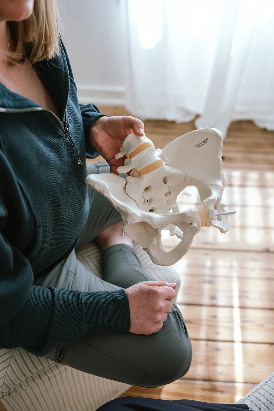 Dr Amanda holding a model of the pelvis at Unbound Pelvis.