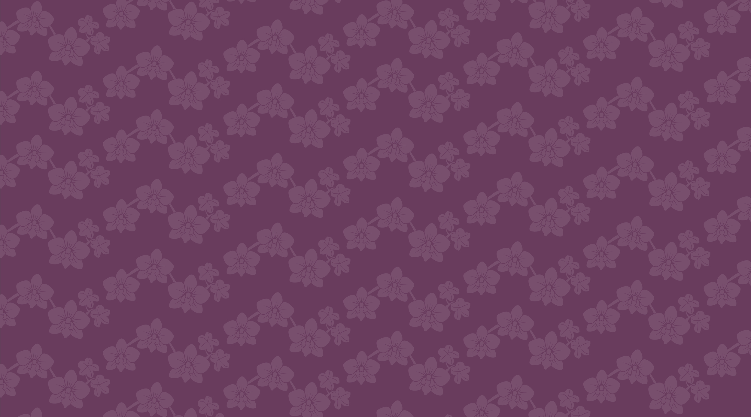 Pelvic Floor Therapy Conditions