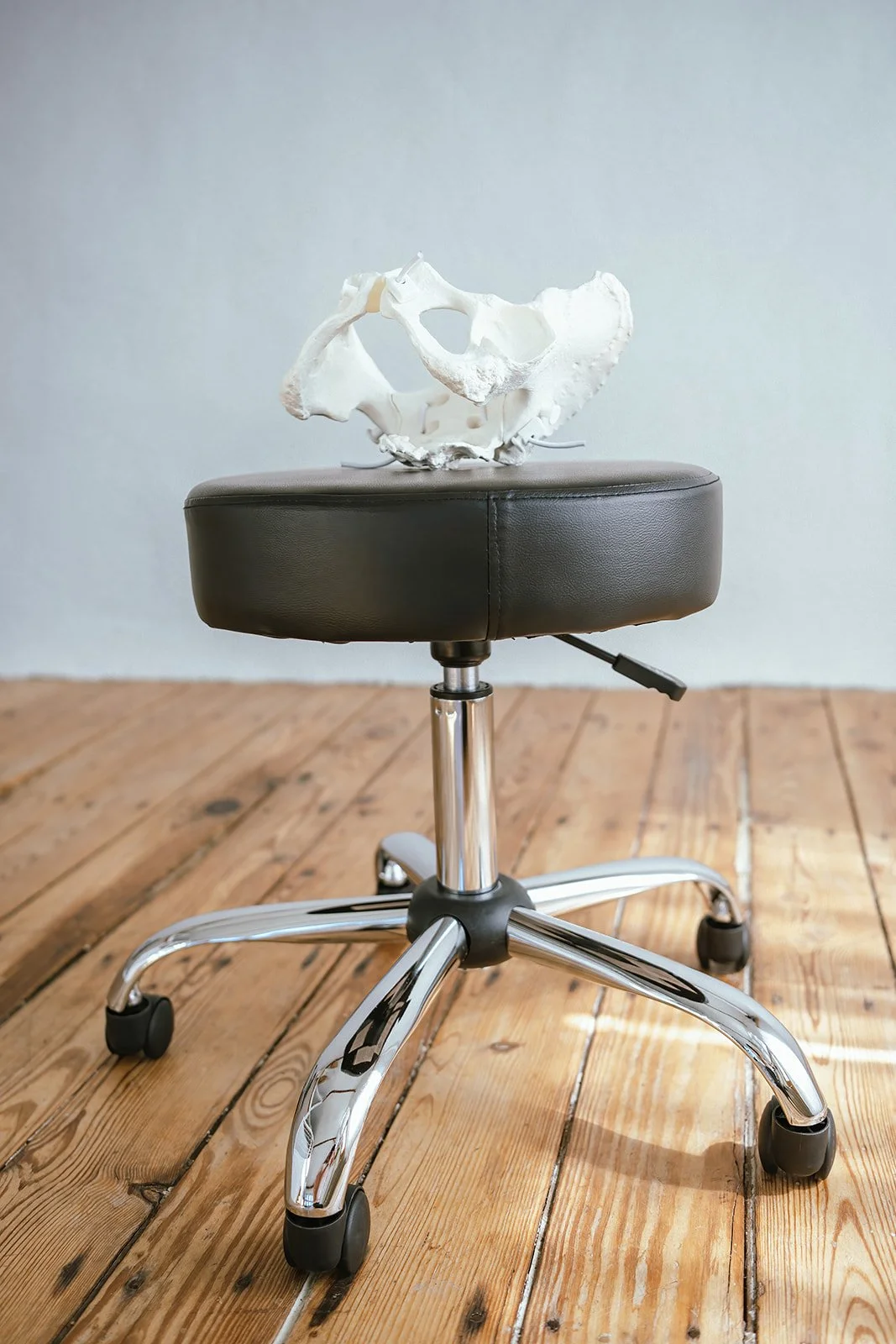 Skeletal model of a pelvis for demonstration, sitting on a stool, used by Dr Amanda Townsend of Unbound Pelvis.
