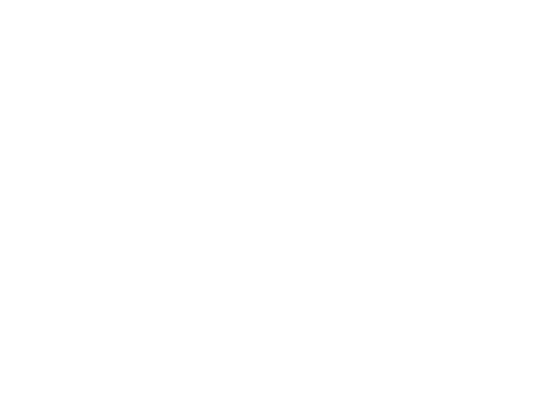 Neal_Schore_Client_sss_logo_white.png