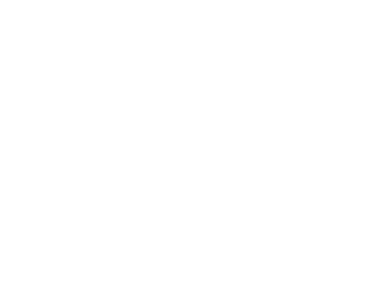 Neal_Schore_Client_phaidon_logo_white.png