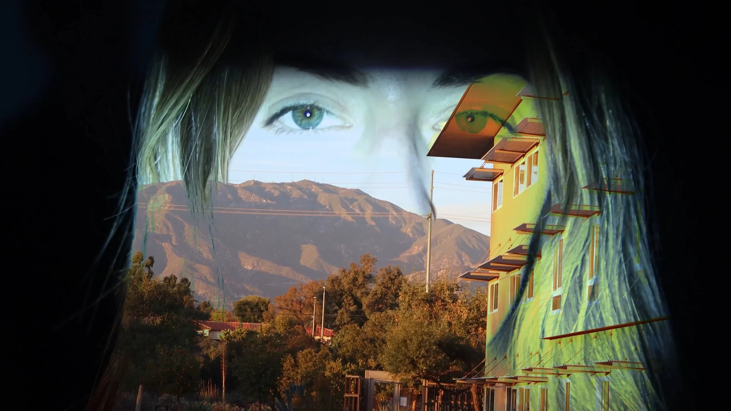 Intermediate Video Art - Final Project
