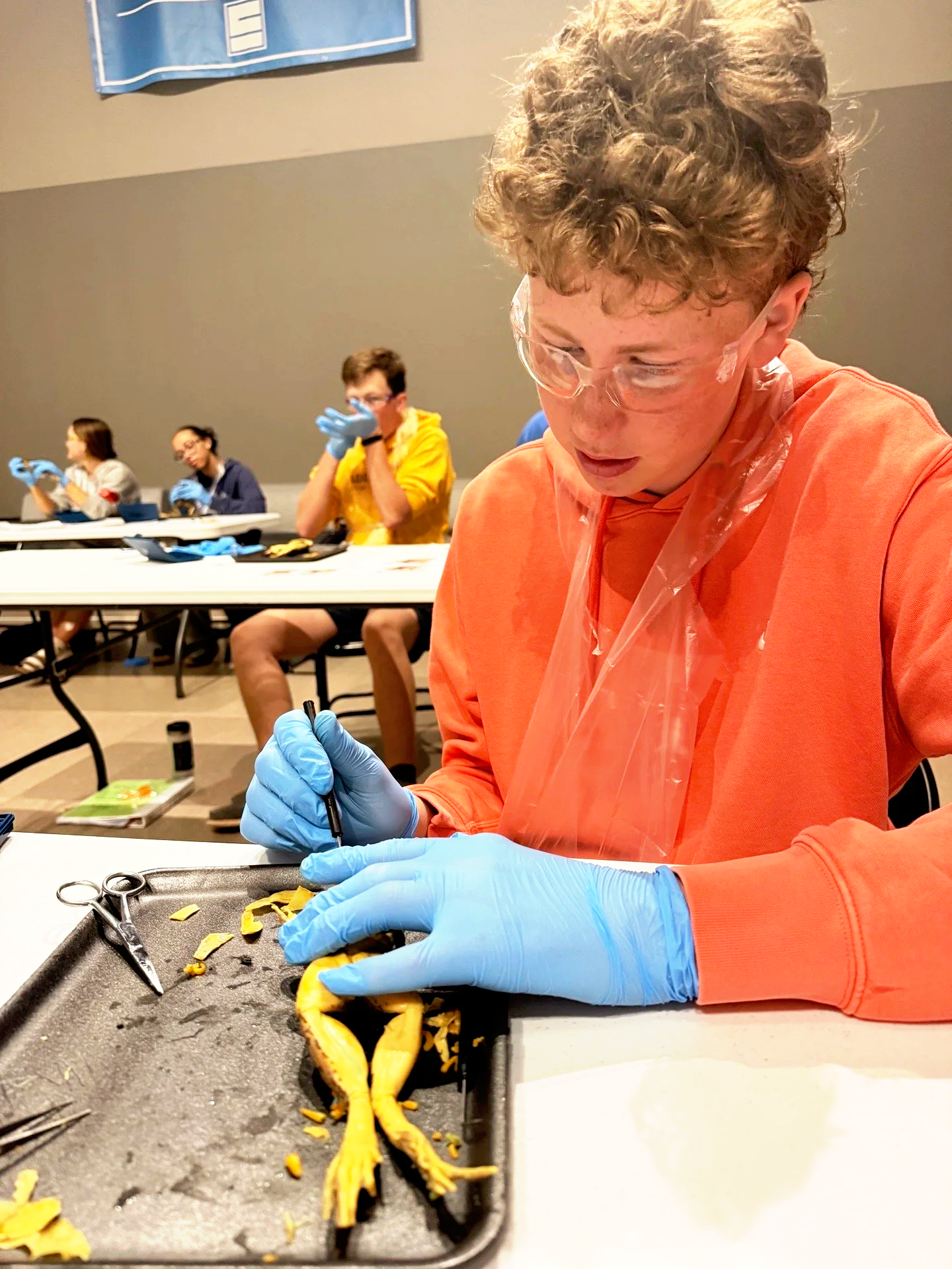 Biology Dissectio