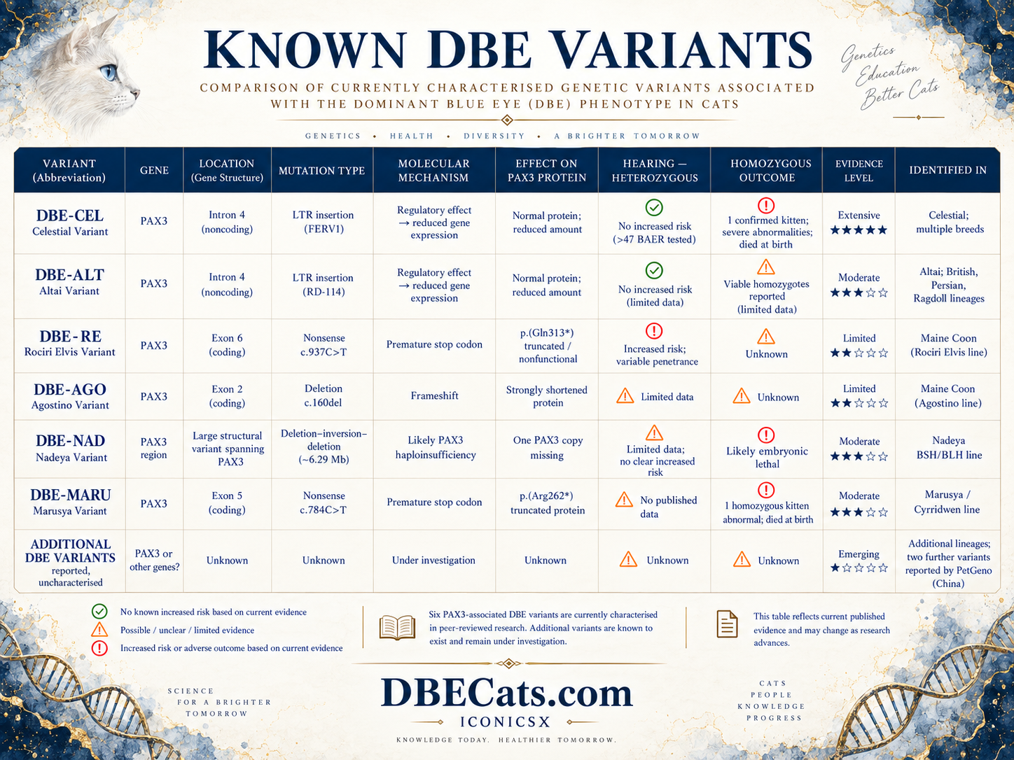 Know dbe variants presented by dbecats.com