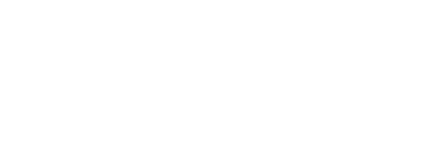 White WELS logo.