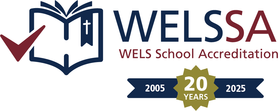 WELSSA celebrating 20 years logo.