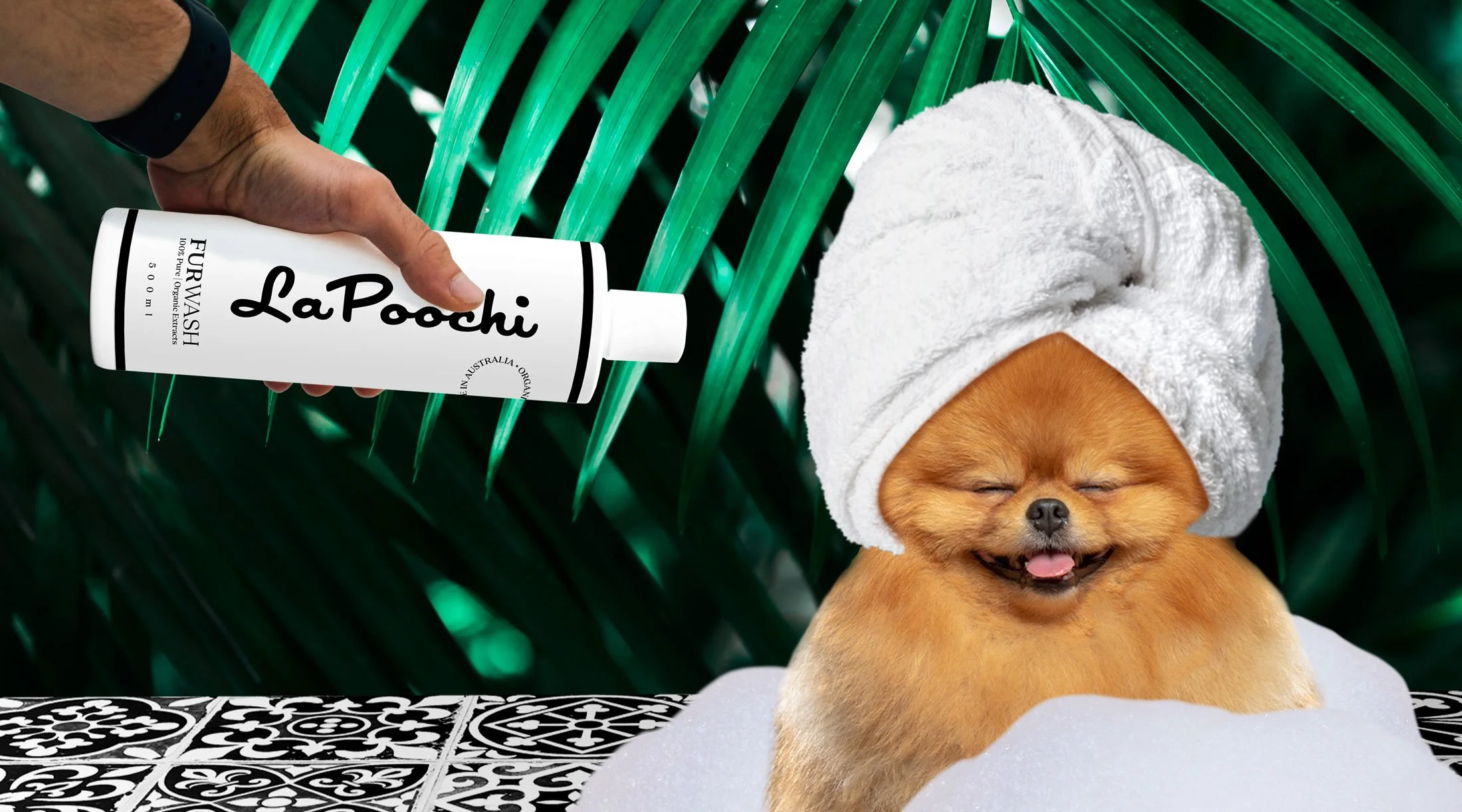 LAPOOCHI_website-BANNER1.jpg
