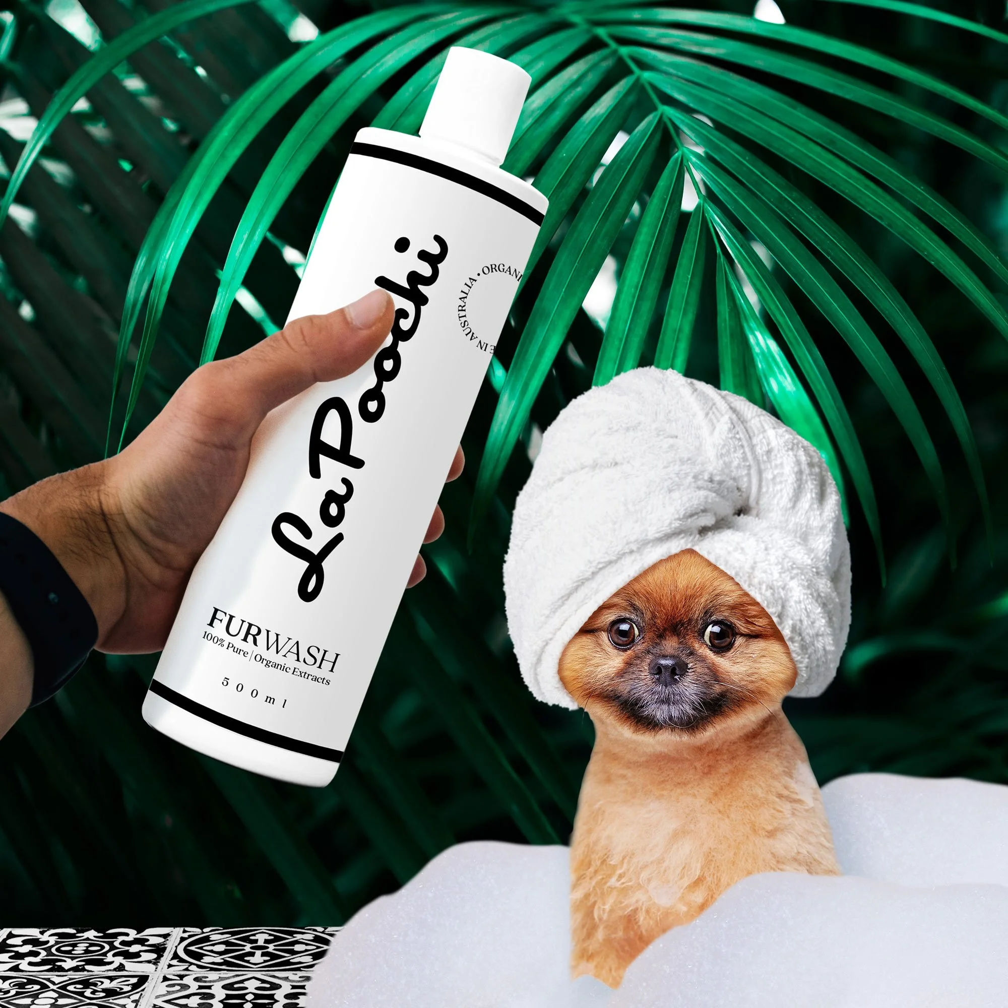 LaPoochi