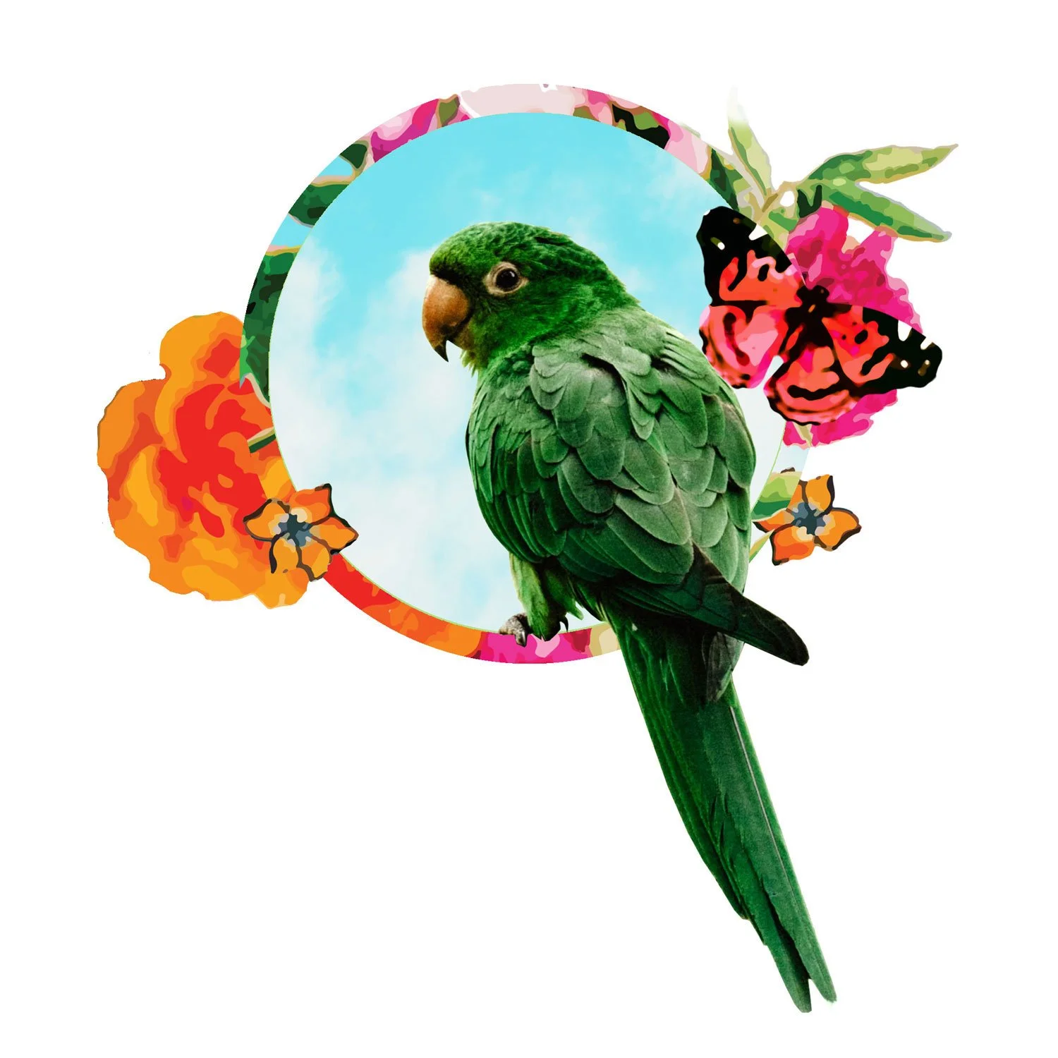 BIRD-FLORAL-WREATH-PROMO1.jpg