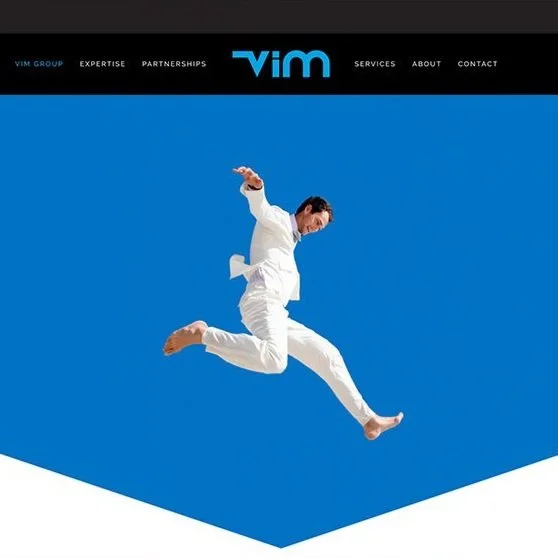 VIM Group