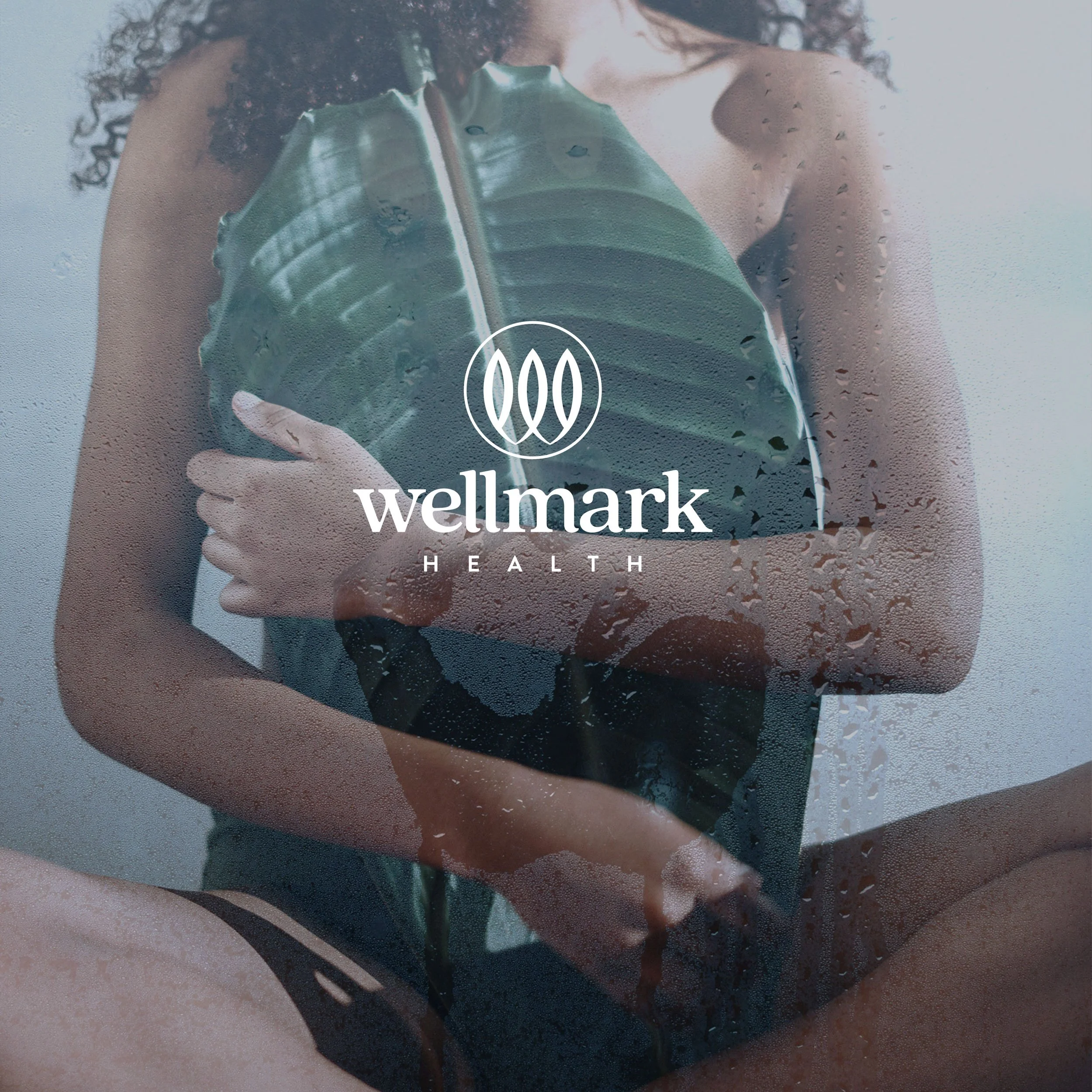 wellmark-health-branding2.jpg