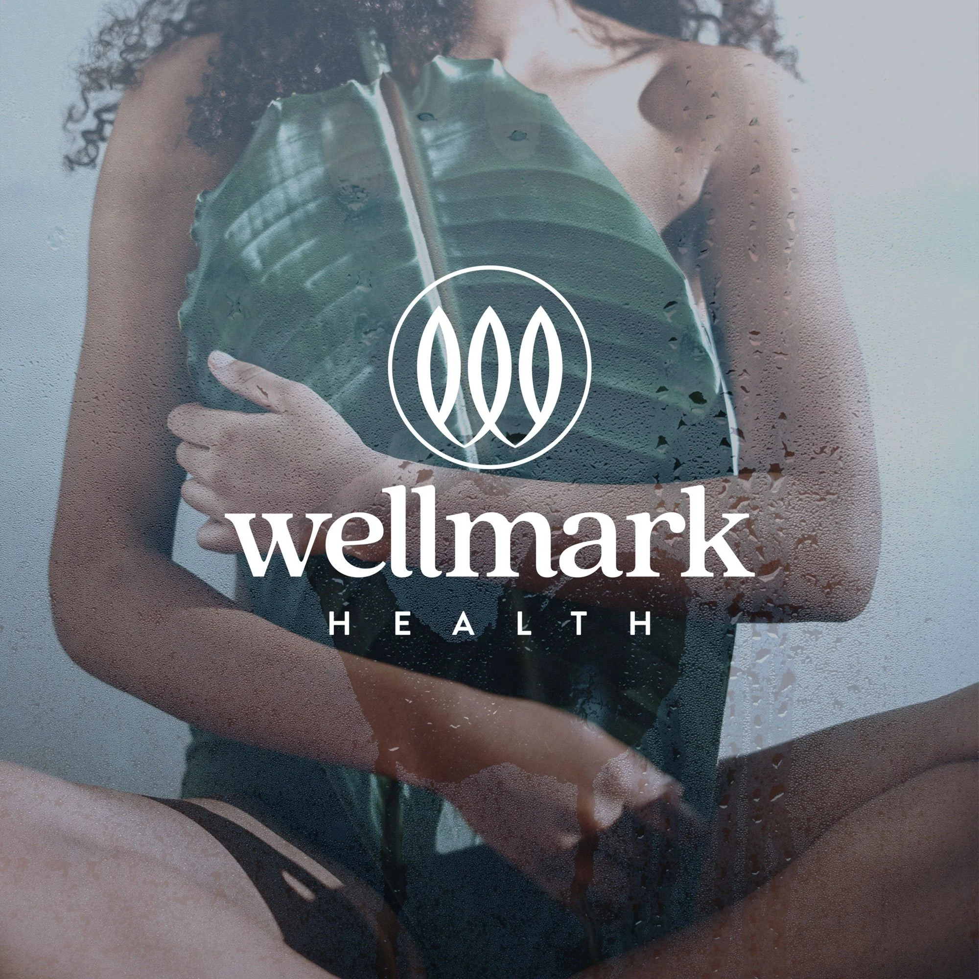 WellMark Health