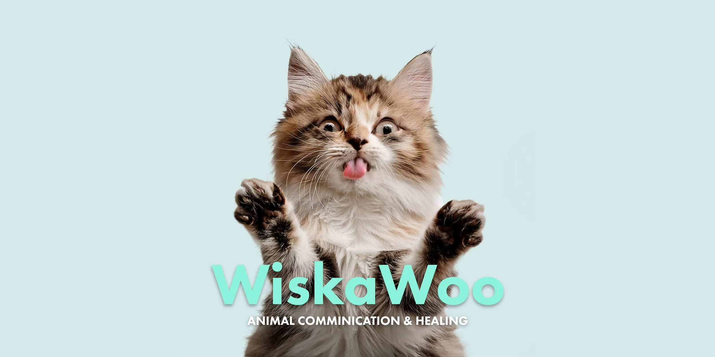 wiskawoo-brand-design.jpg