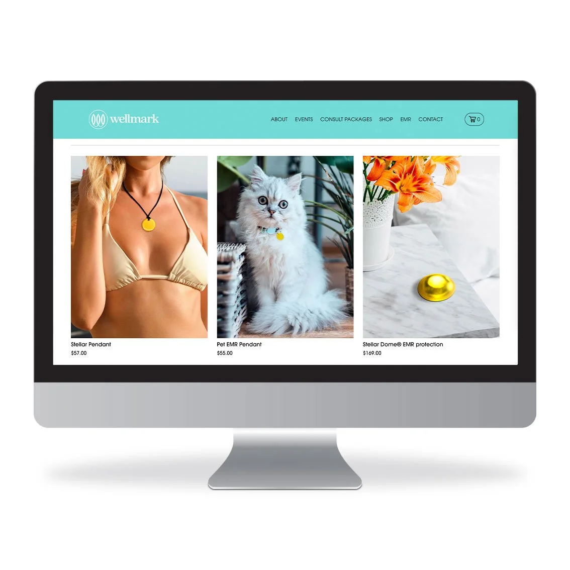 Wellmark Health website design Gold Coast