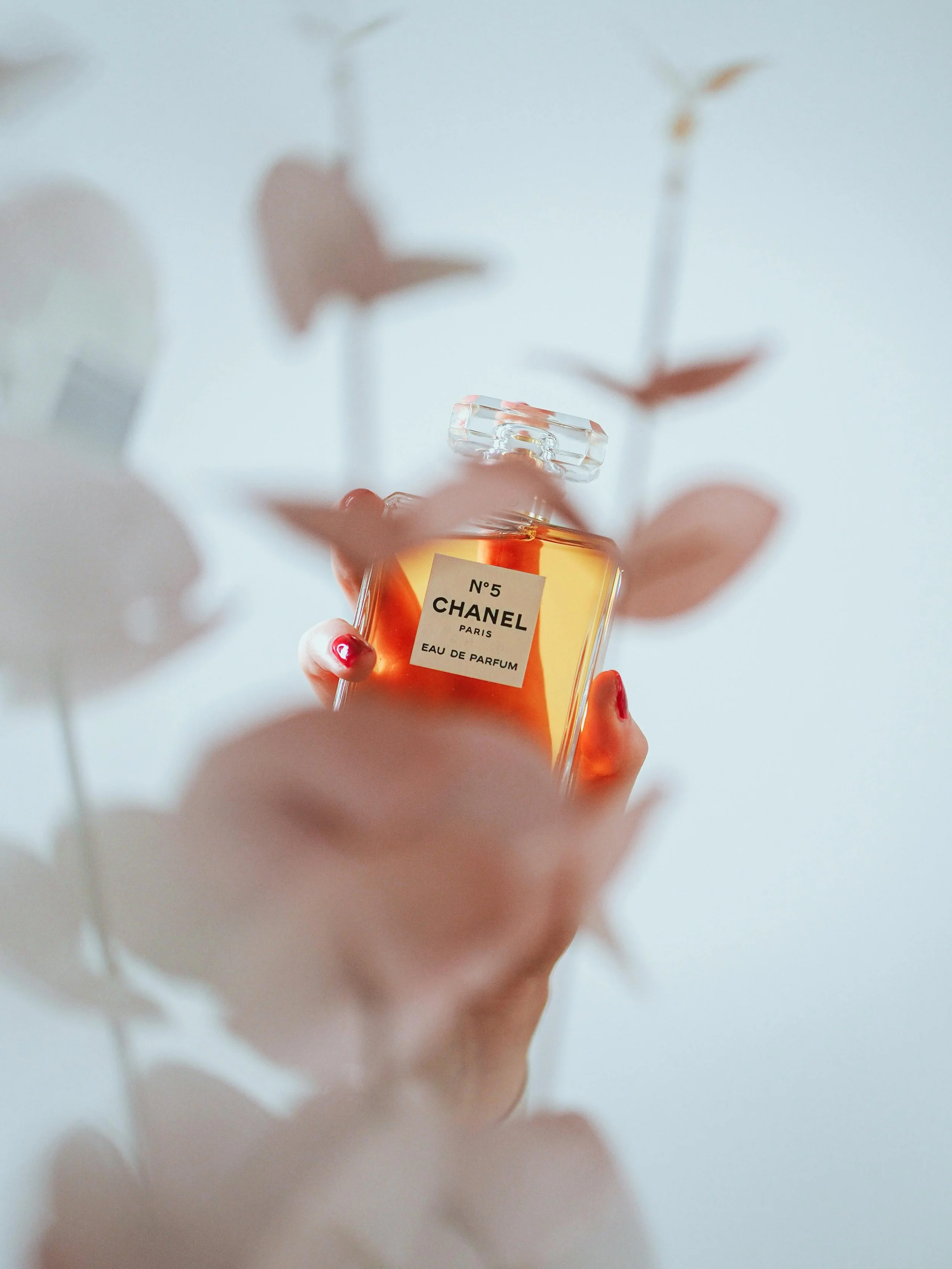 The Psychology of Premium Pricing: How Luxury Branding Alters Consumer Perception