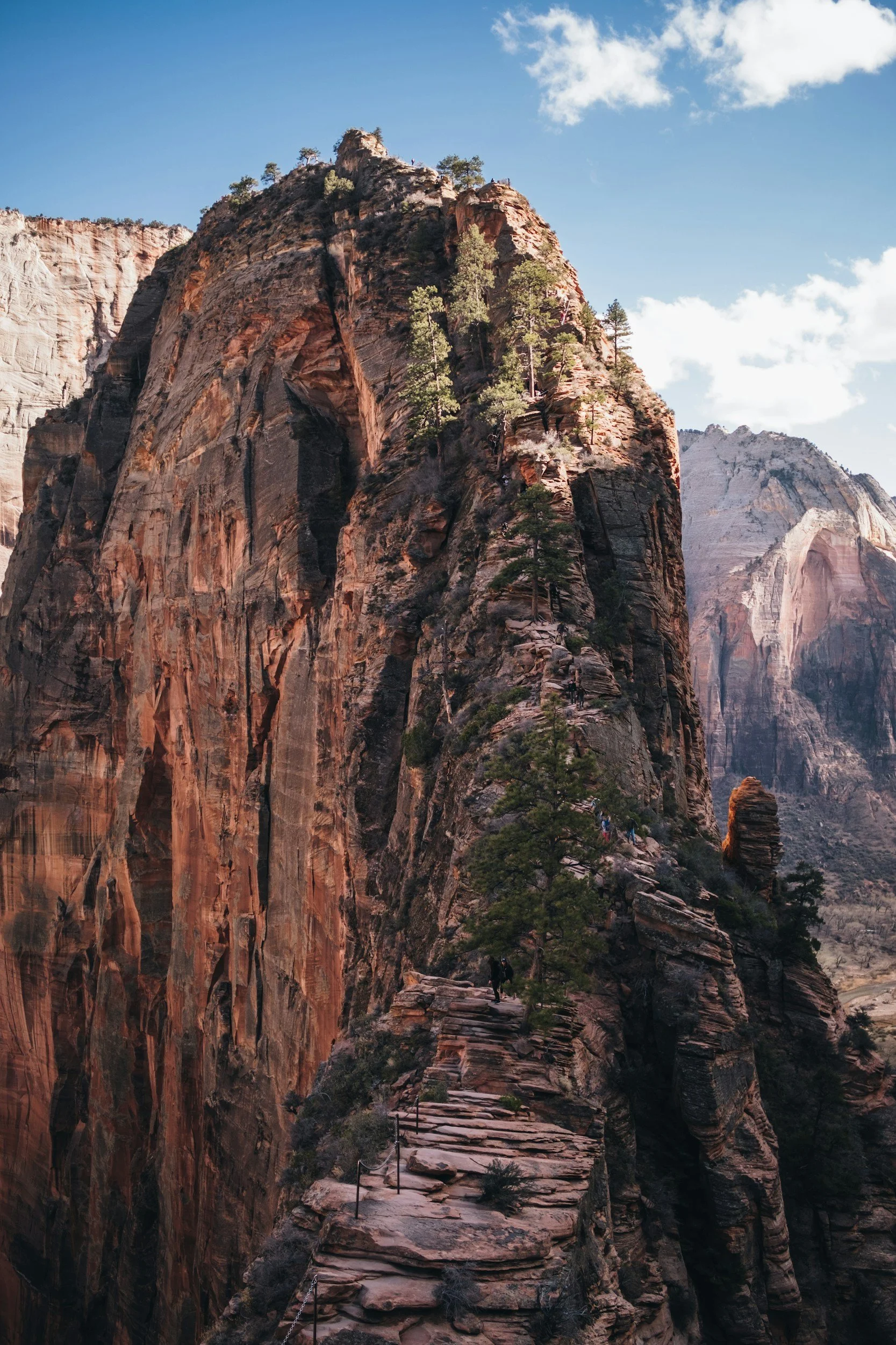 A rocky trail winding along the side of a mountain with children hiking, surrounded by tall pine trees and steep cliffs, under a partly cloudy sky.