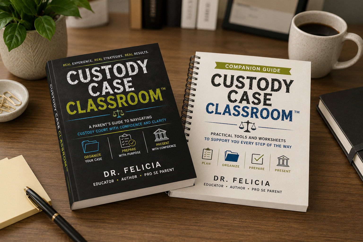 (BUNDLE) Custody Case Classroom™ Custody Court eBook AND eWorkbook