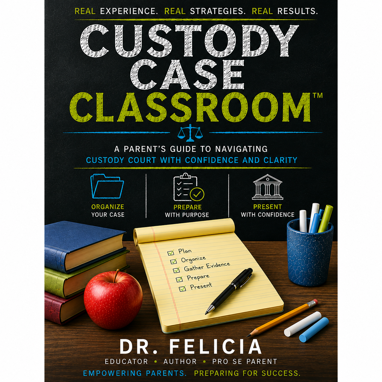 Custody Case Classroom™: Navigating Custody Court (eBook)