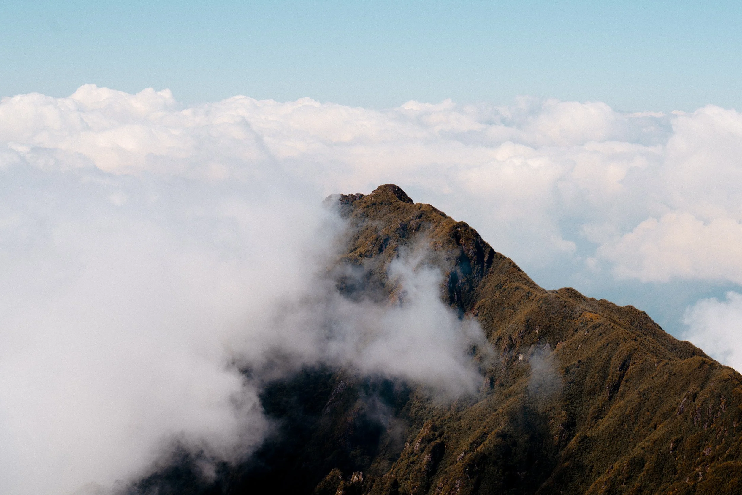OBSCURED (1 of 1)-9.jpg