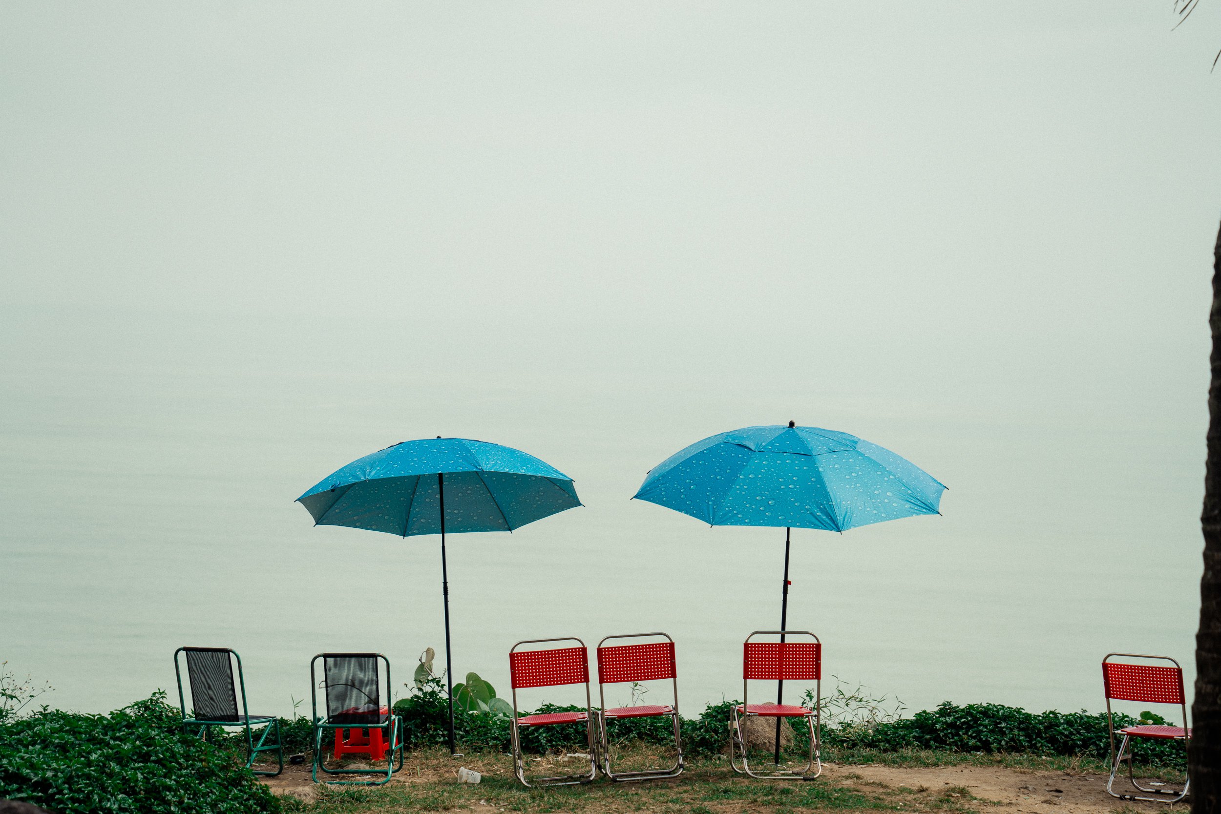 Four blue umbrellas open against a grey sky near a row of empty chairs and some green vegetation.
