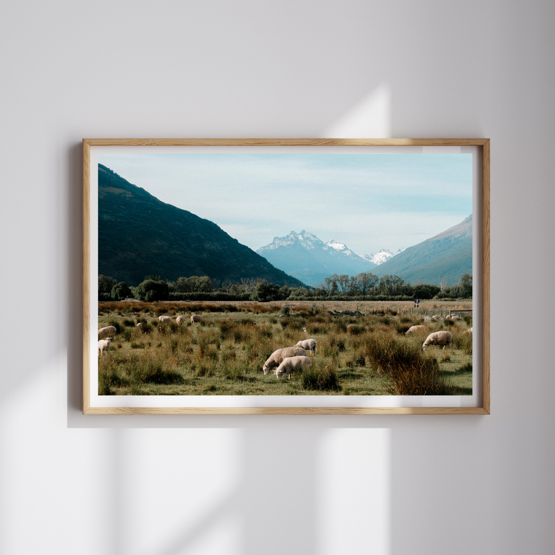 The Pastoral