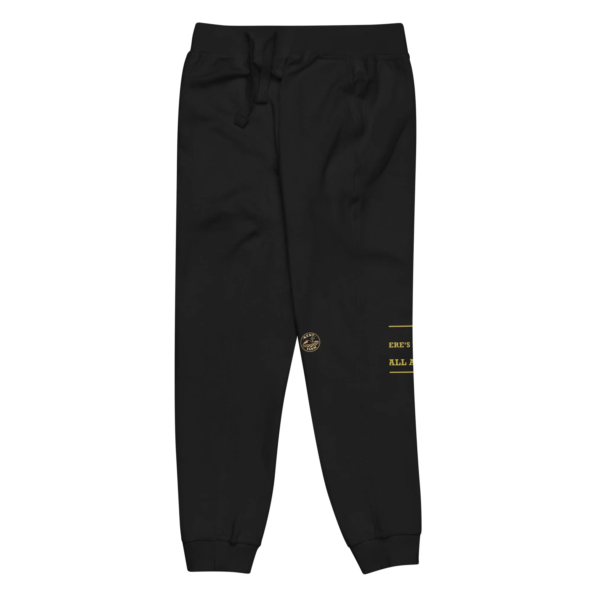 unisex-fleece-sweatpants-black-front-left-6a9cb1abef926.jpg