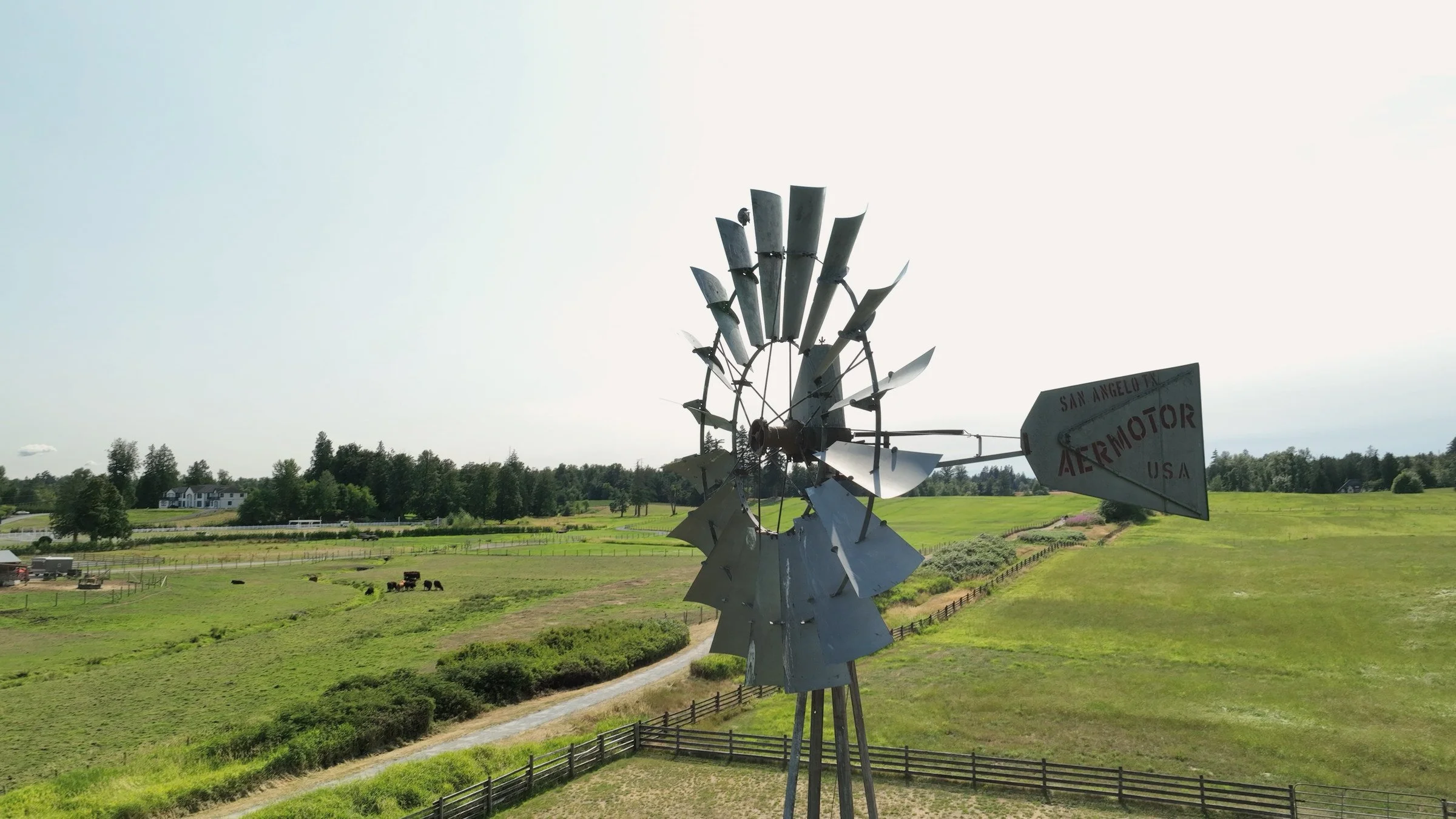 The historic windmill overlooking Kent Farm fields in Aldergrove.