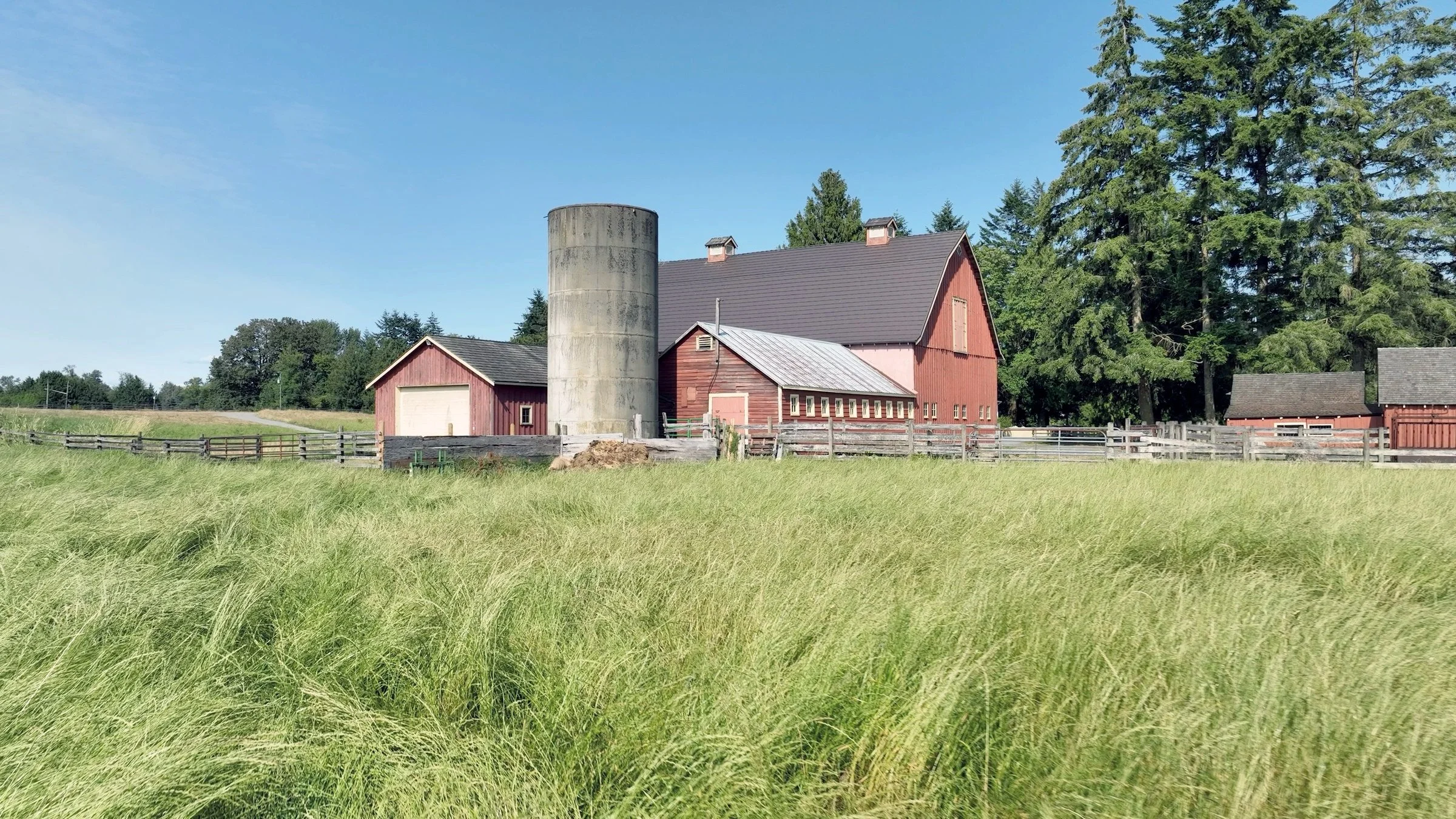 Red barns and silo at The Kent Farm behind a green summer field.