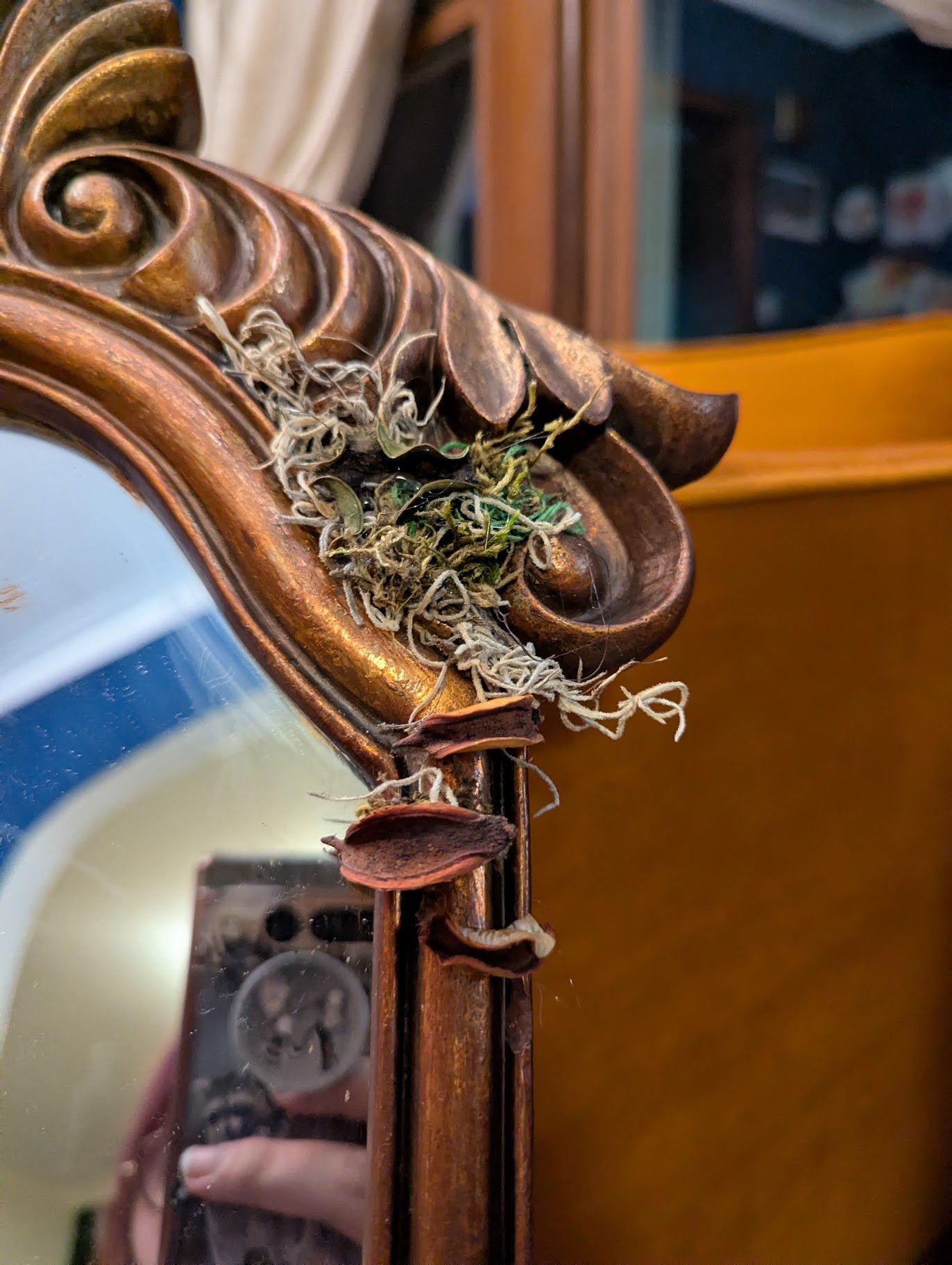 Brass Mirror 1.jpg