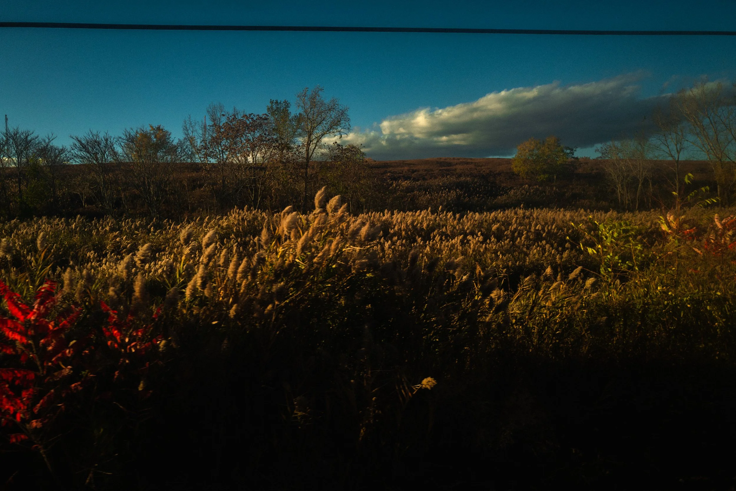 L1030702.JPG