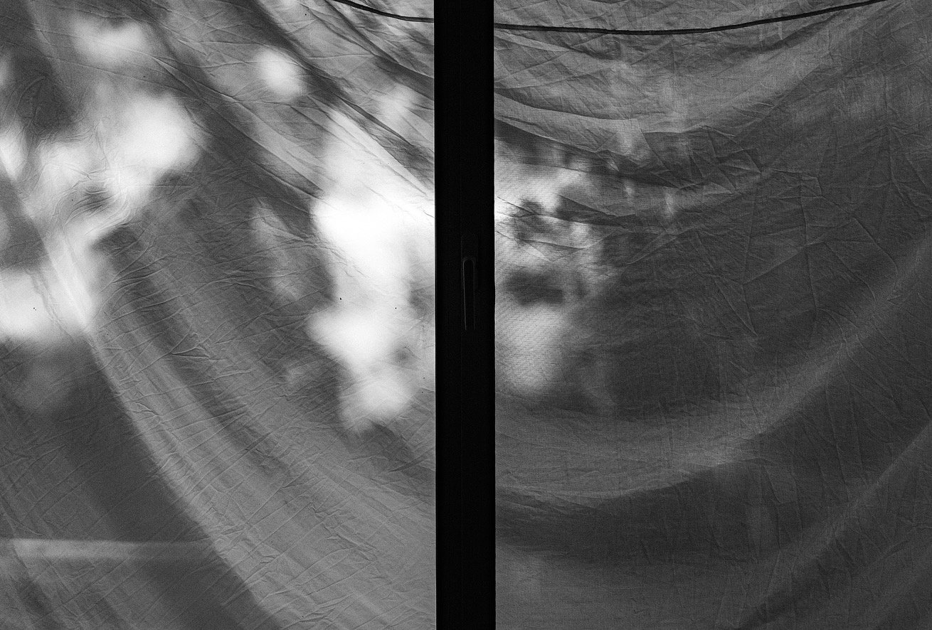 0C301D59-9FD8-4BC1-8FA2-89F09F5821FF.JPG