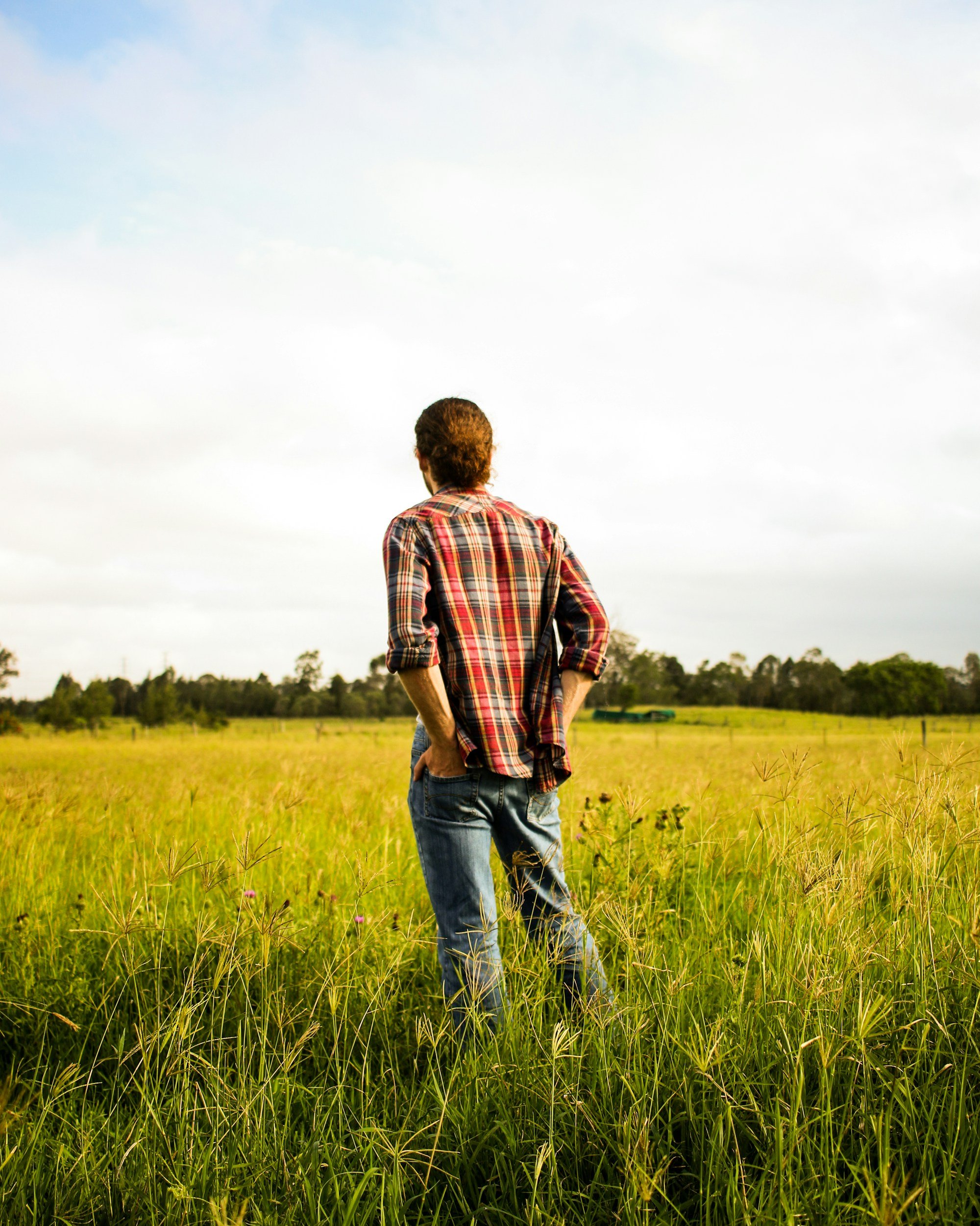 A man with curly hair and a beard wearing a plaid shirt and jeans standing in a grassy field, looking at the sky.
