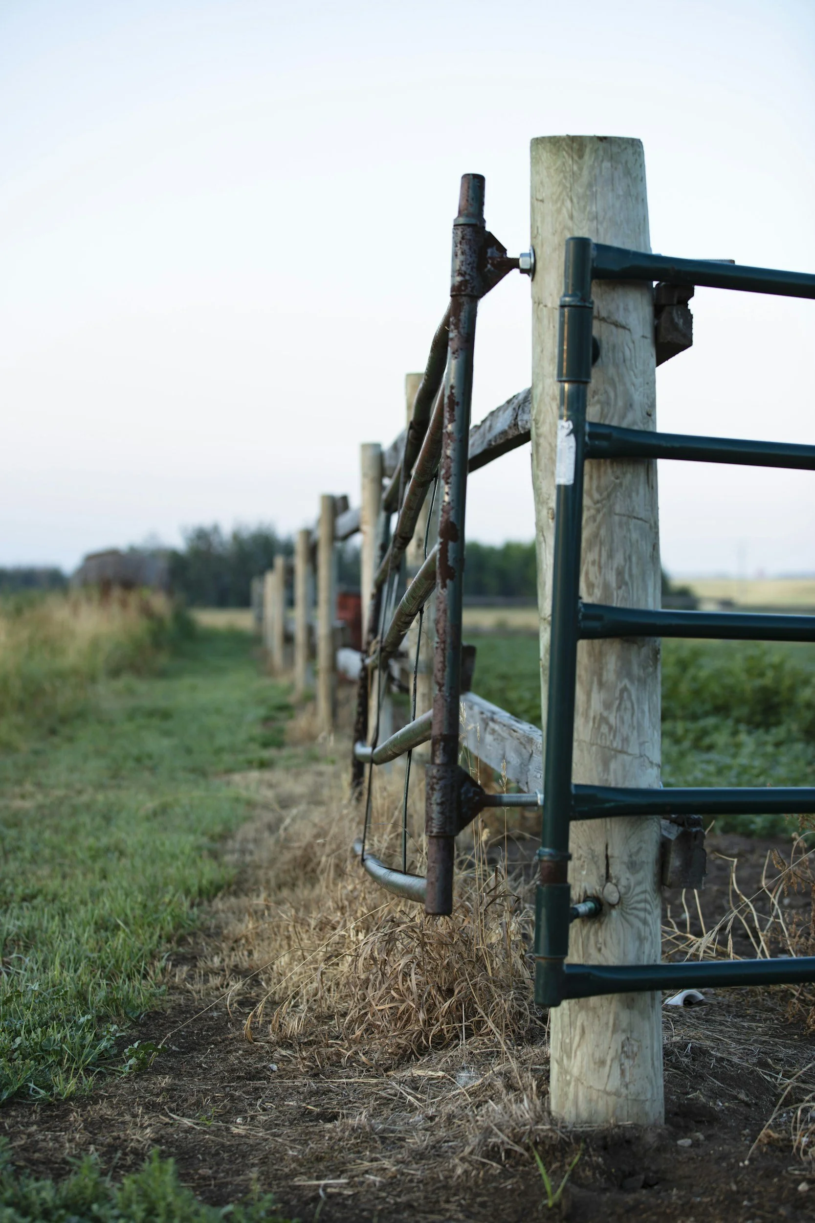 A metal gate attached to a wooden post in a rural setting with grassy fields and a distant barn.