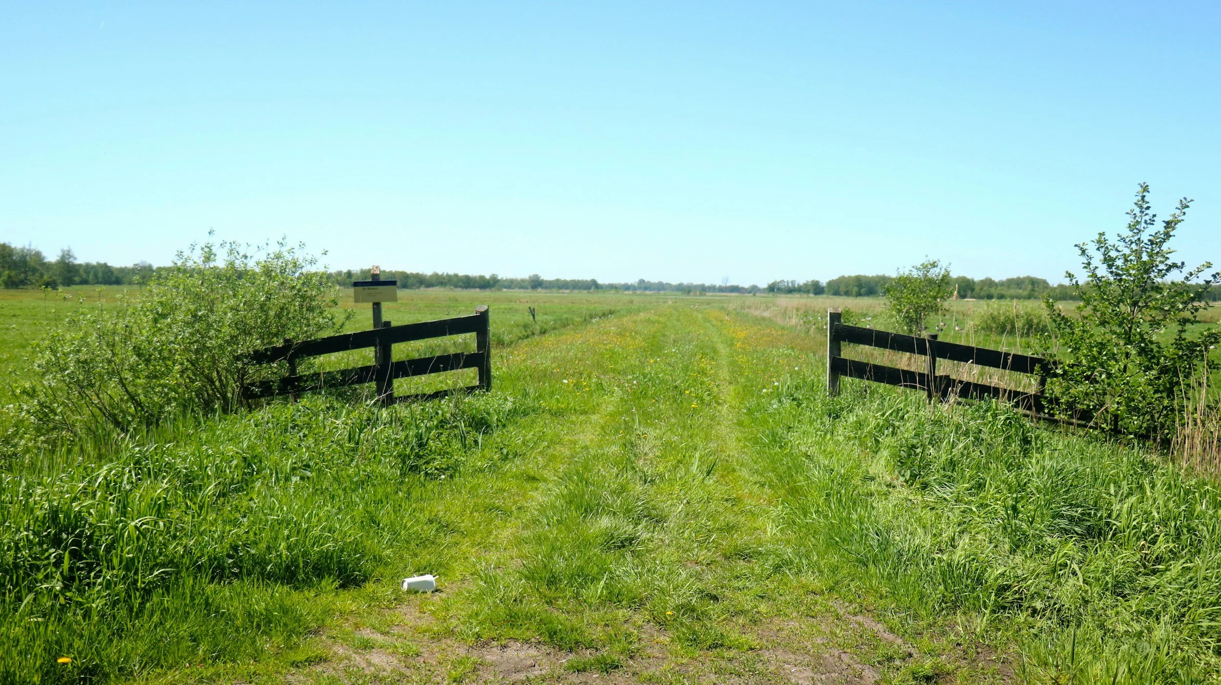 A rural grassy field with a dirt pathway running through it, flanked by black wooden fences on both sides, under a clear blue sky with some trees in the distance.