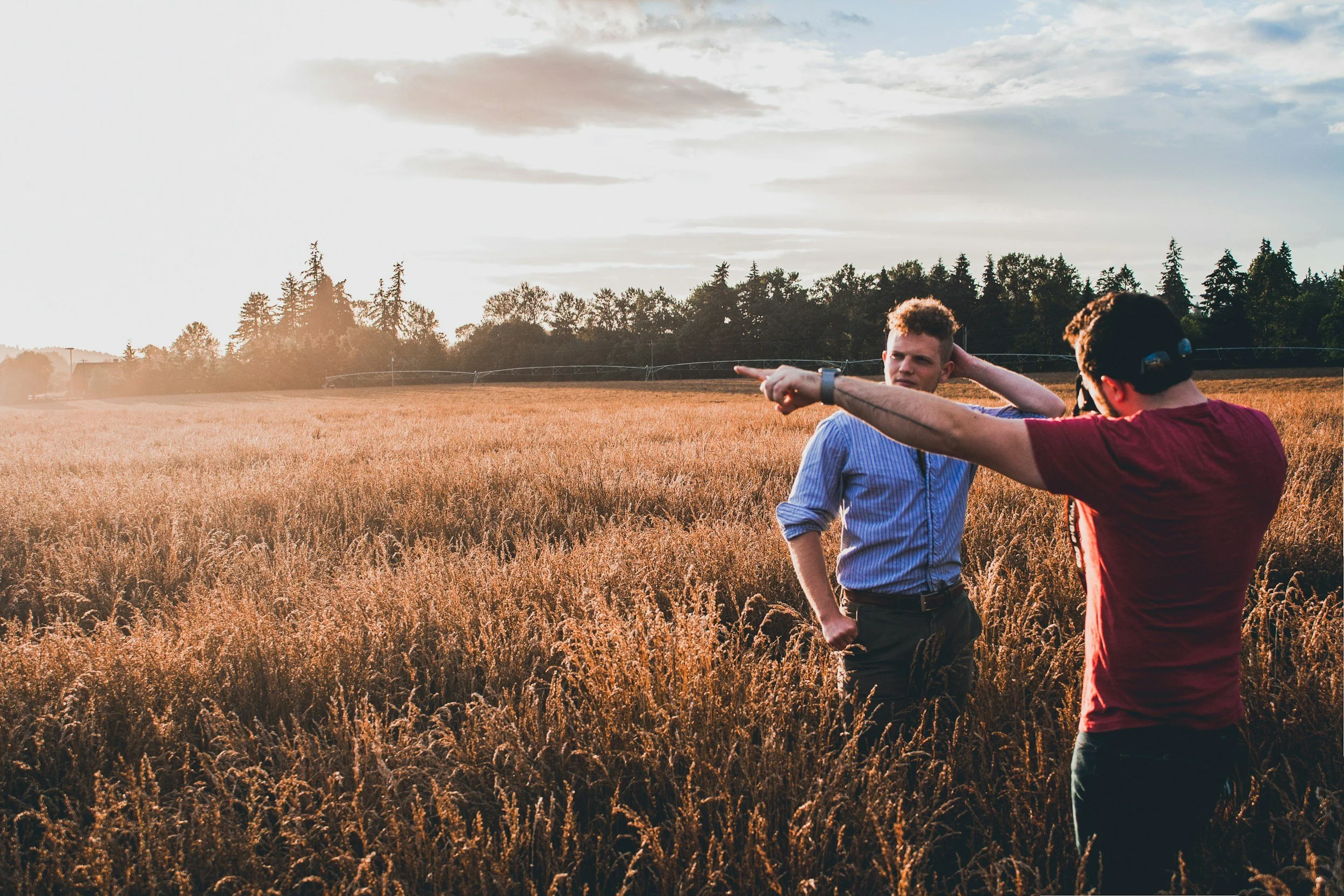 Two young men in a wheat field during sunset, one pointing at the sky while the other listens with a hand on his neck.
