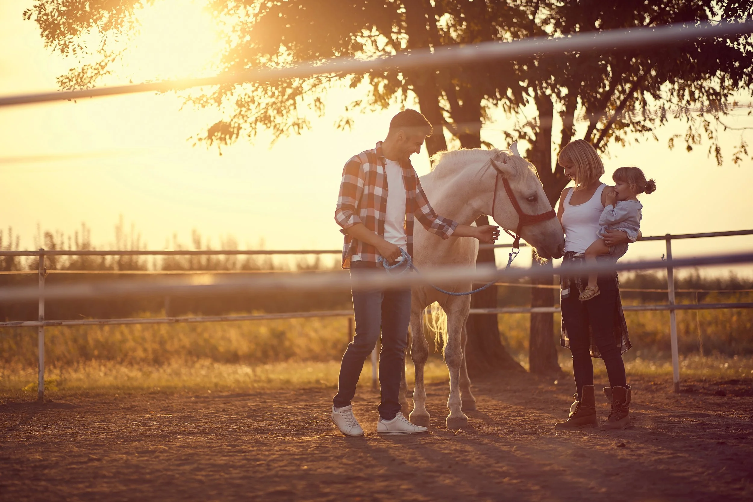 A family at a horse riding ring during sunset. A man, woman, and young girl are interacting with a white horse. The man and woman are smiling and the woman is holding the girl, while the man is gently touching the horse's face. The scene is bathed in warm golden light, with trees in the background.