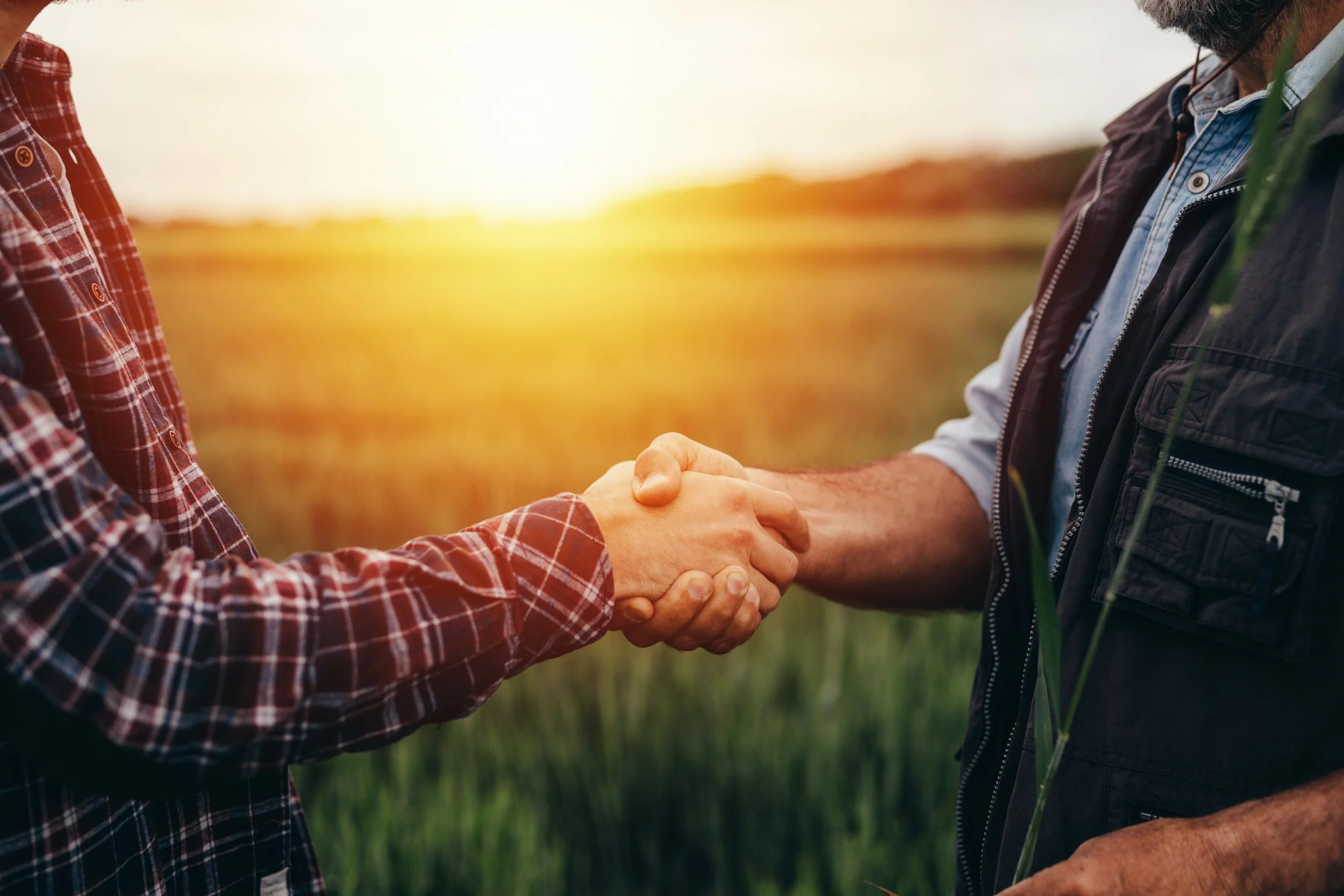 Two men shaking hands outdoors during sunset.