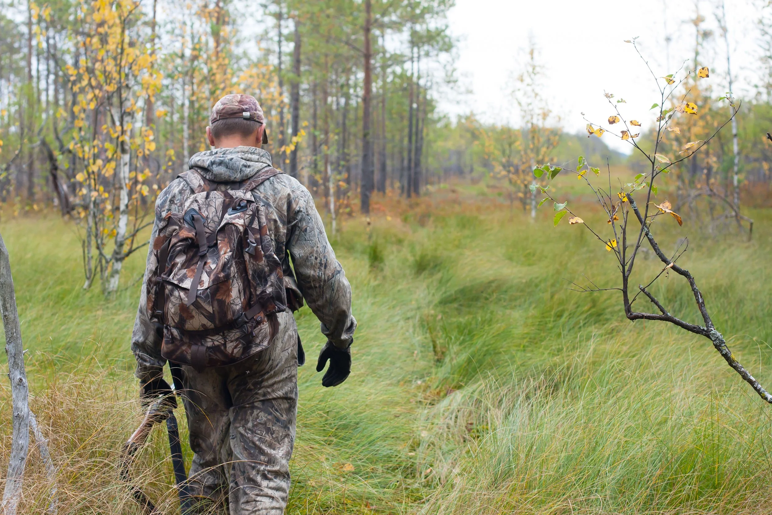 A man dressed in camouflage clothing and a backpack walking through a forest with fall foliage.