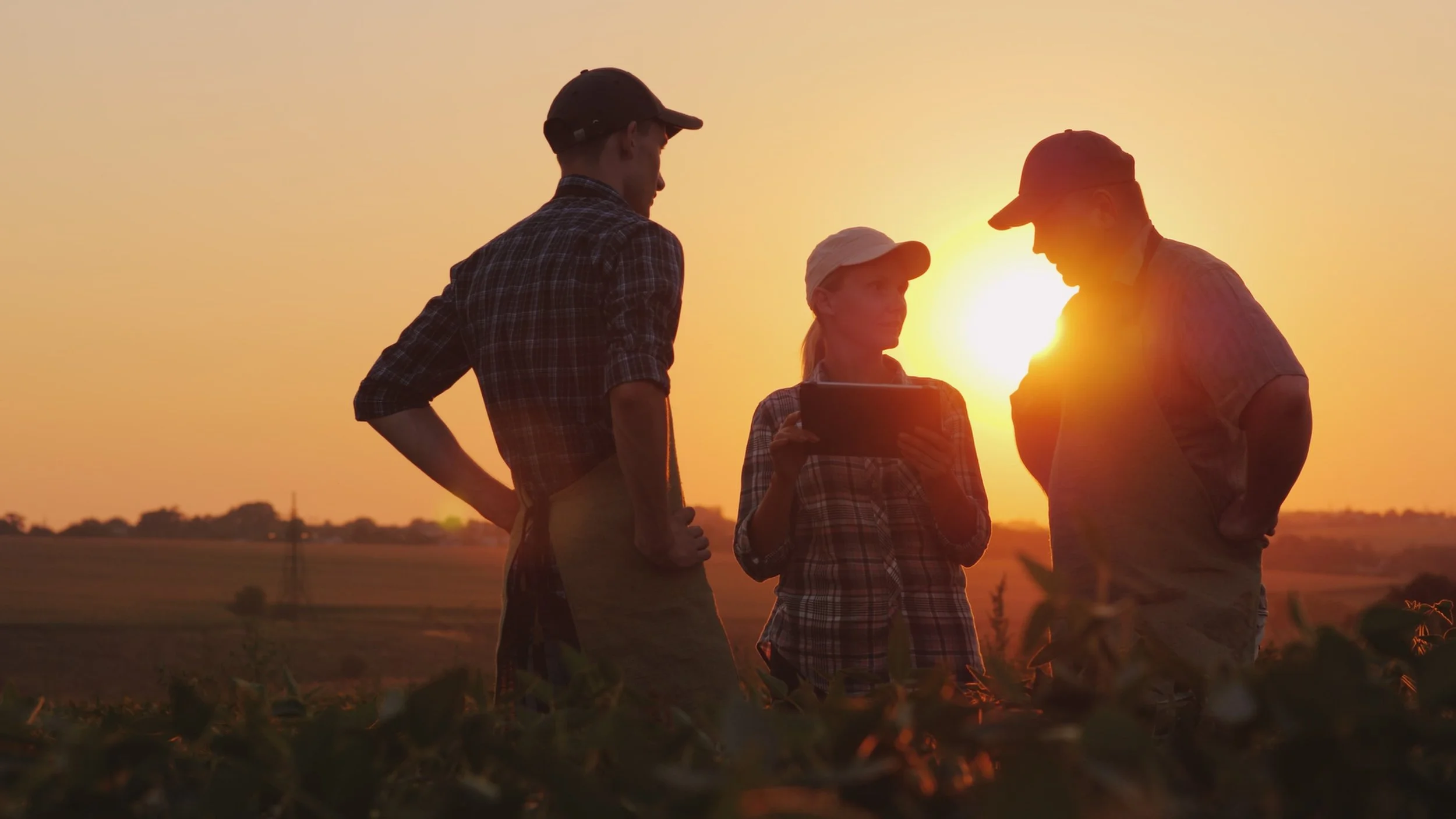 Three people, two men and one woman, standing outdoors during sunset, looking at a tablet held by the woman, with fields and a distant horizon in the background.