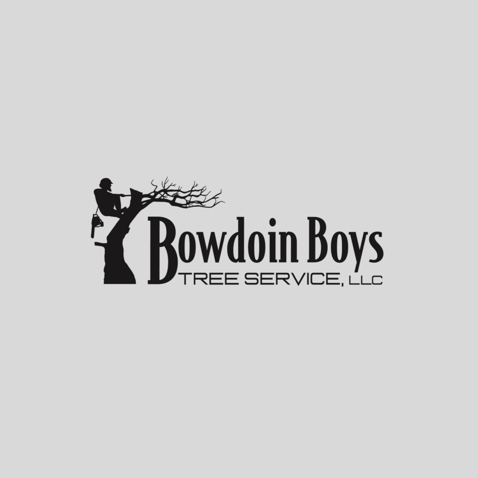 Silhouette of a person climbing a tree with a chainsaw in hand, logo for Bowdoin Boys Tree Service LLC.