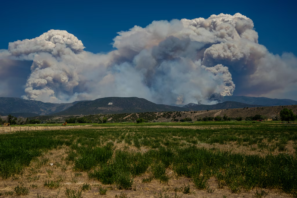 Cottonwood Fire
