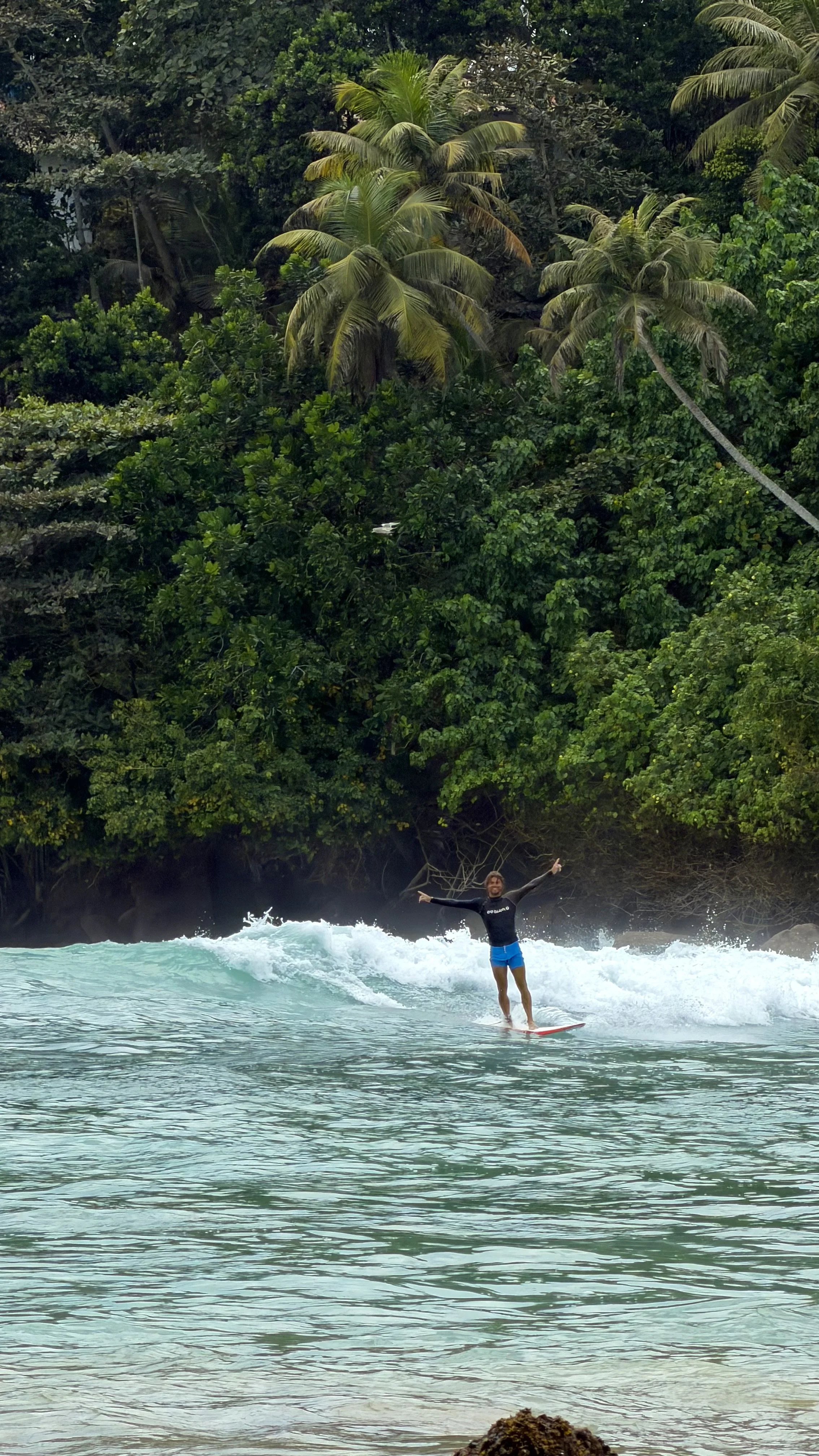 A person surfing on turquoise water near a lush tropical shoreline with dense green trees and palm trees.