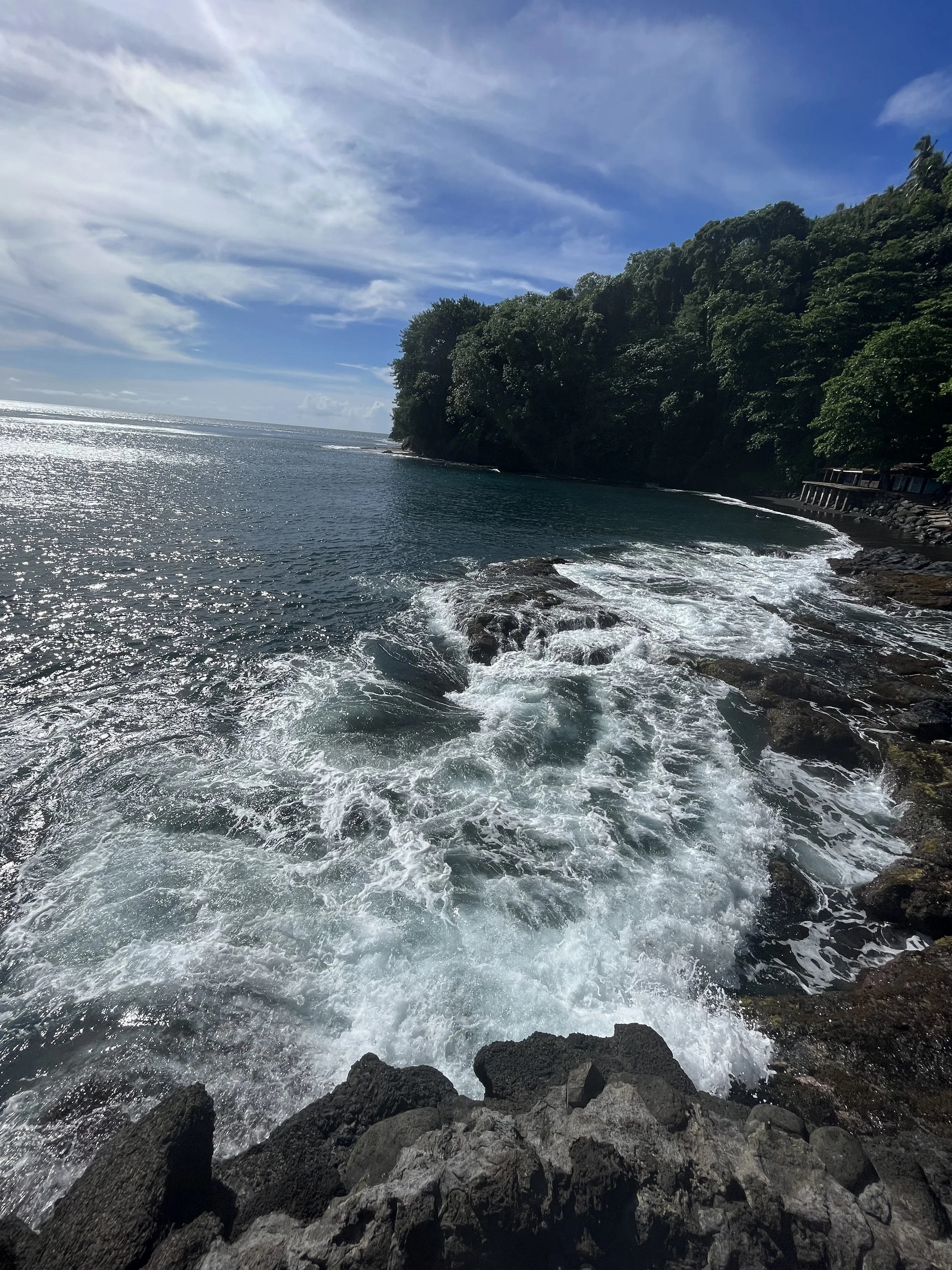 IMG_0963.jpeg