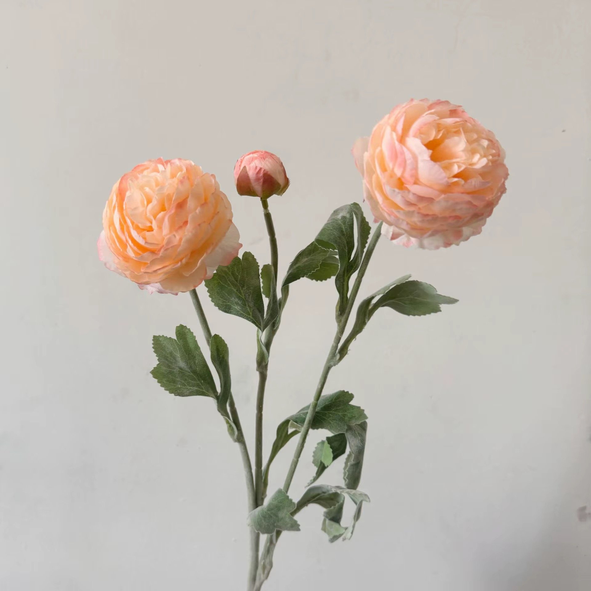 IMG_1948.jpeg