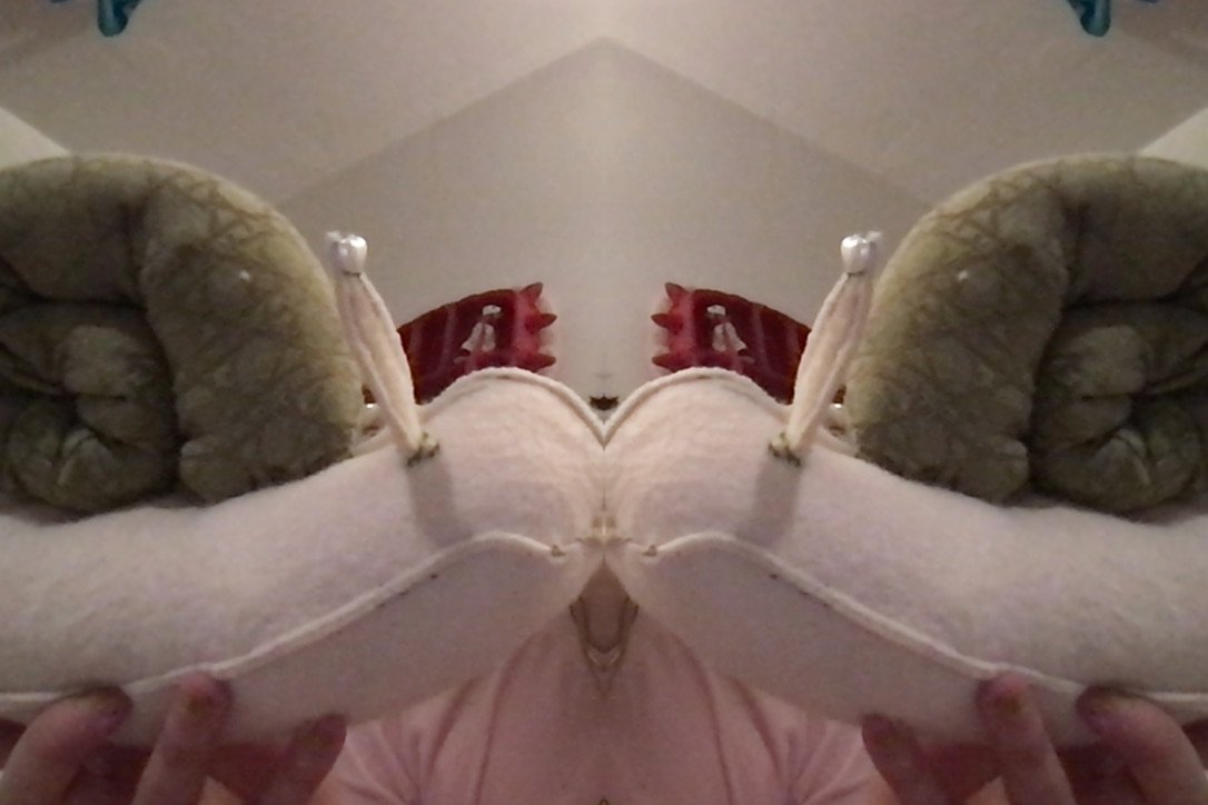 CA6D95C0-0EC6-433F-BBBB-A9763E050AE1_1_105_c.jpeg