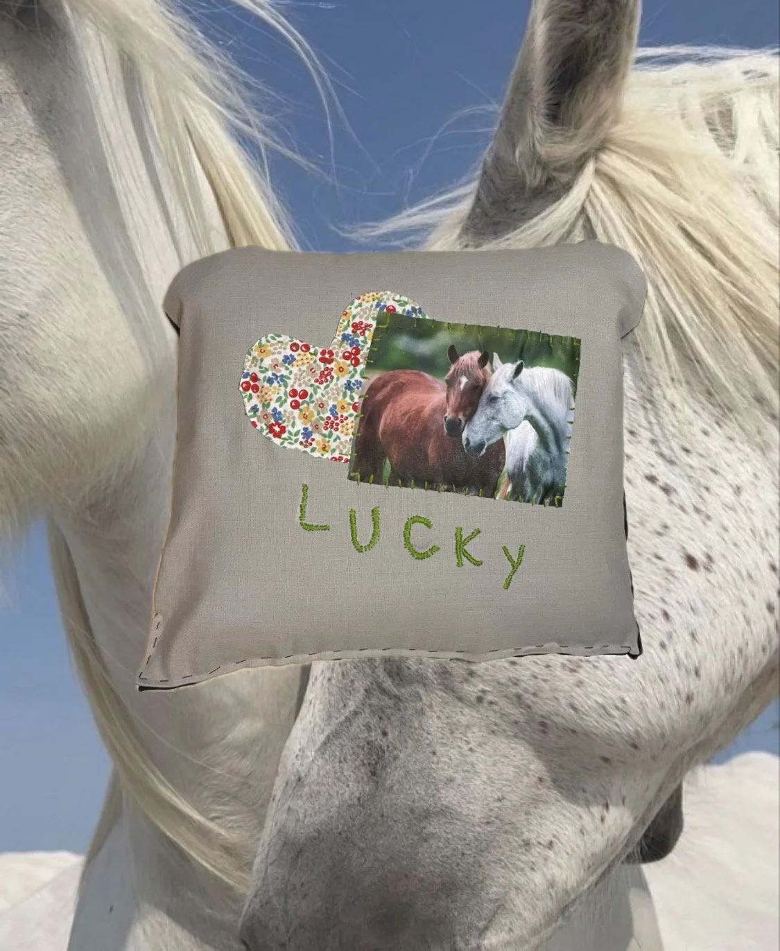 "LUCKY" Pillow