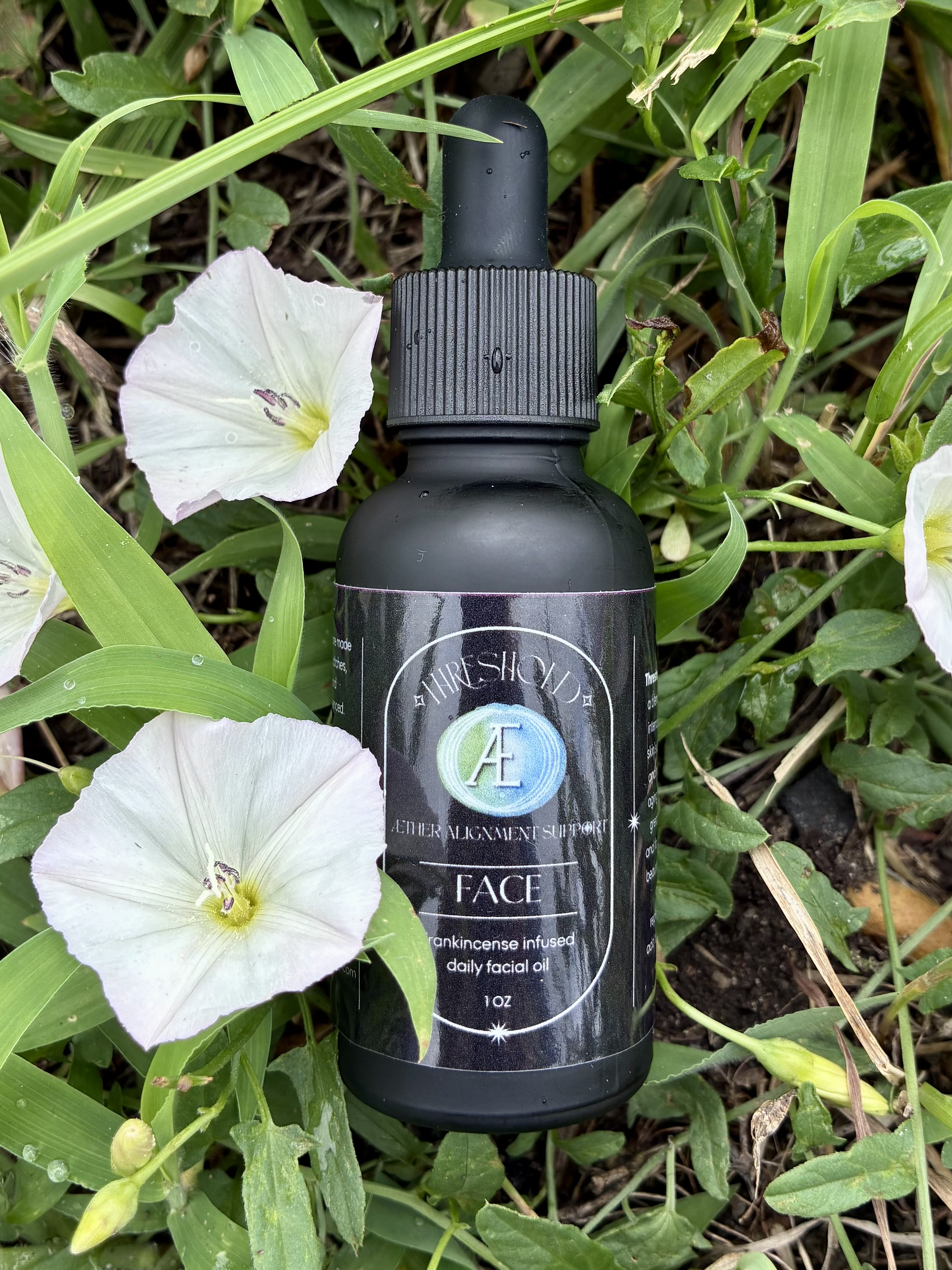 Threshold: Face - Resin infused daily facial oil